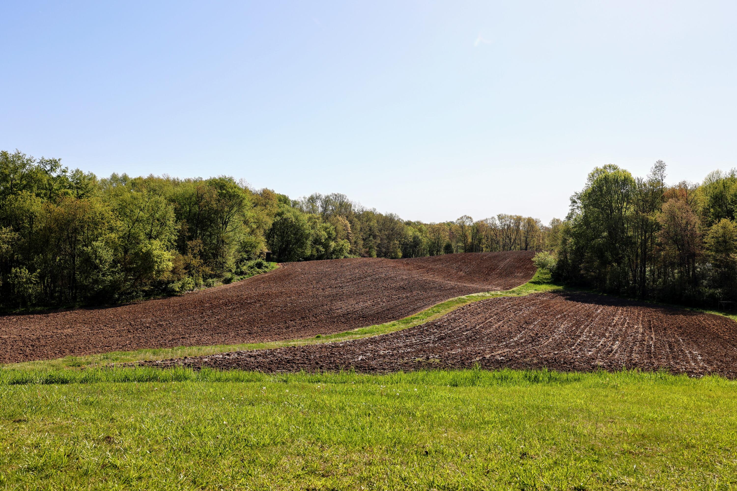 50835 Decatur Road Decatur, MI 49045 - Photo 25 of 74 25