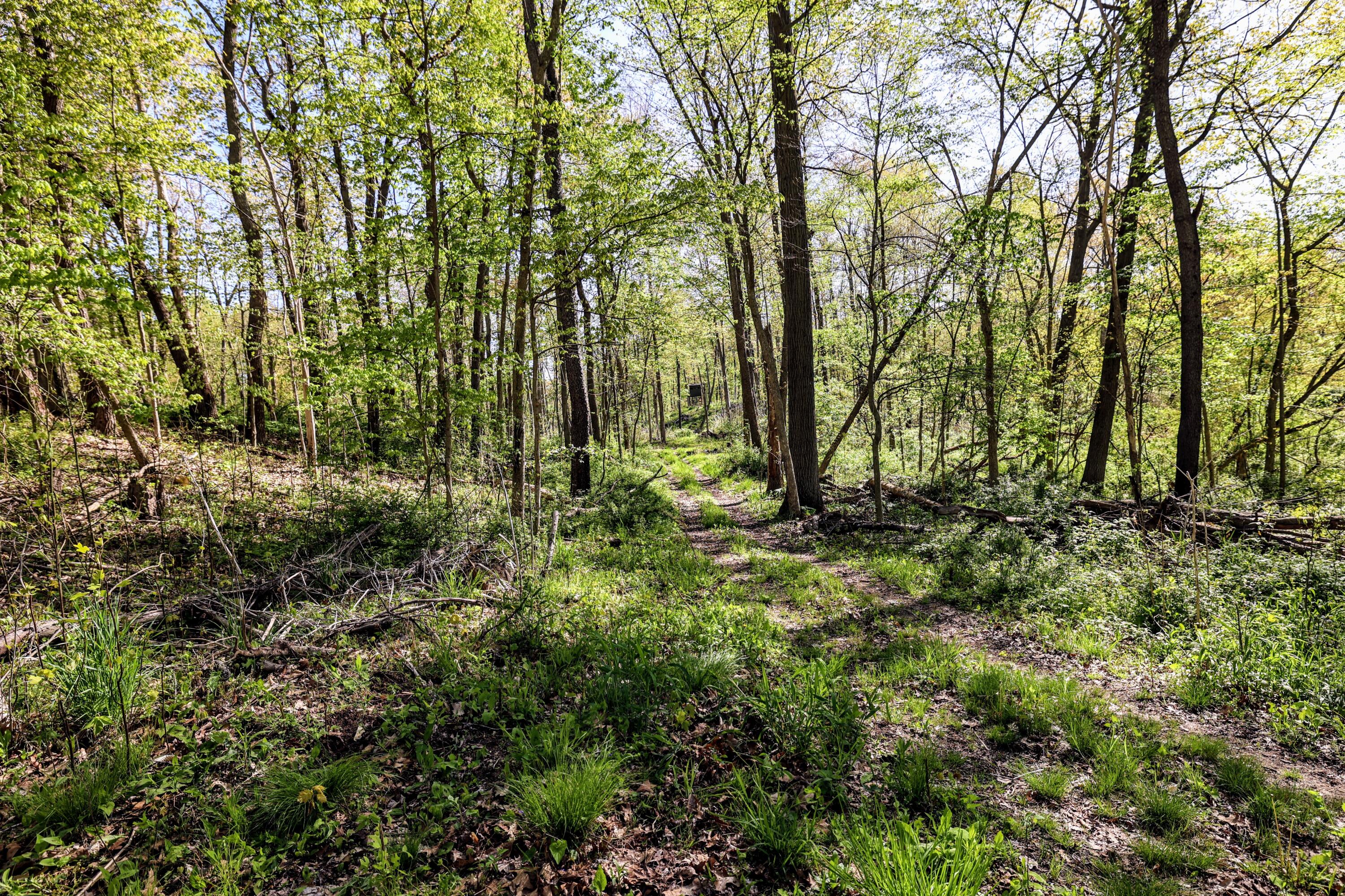50835 Decatur Road Decatur, MI 49045 - Photo 3 of 74 3