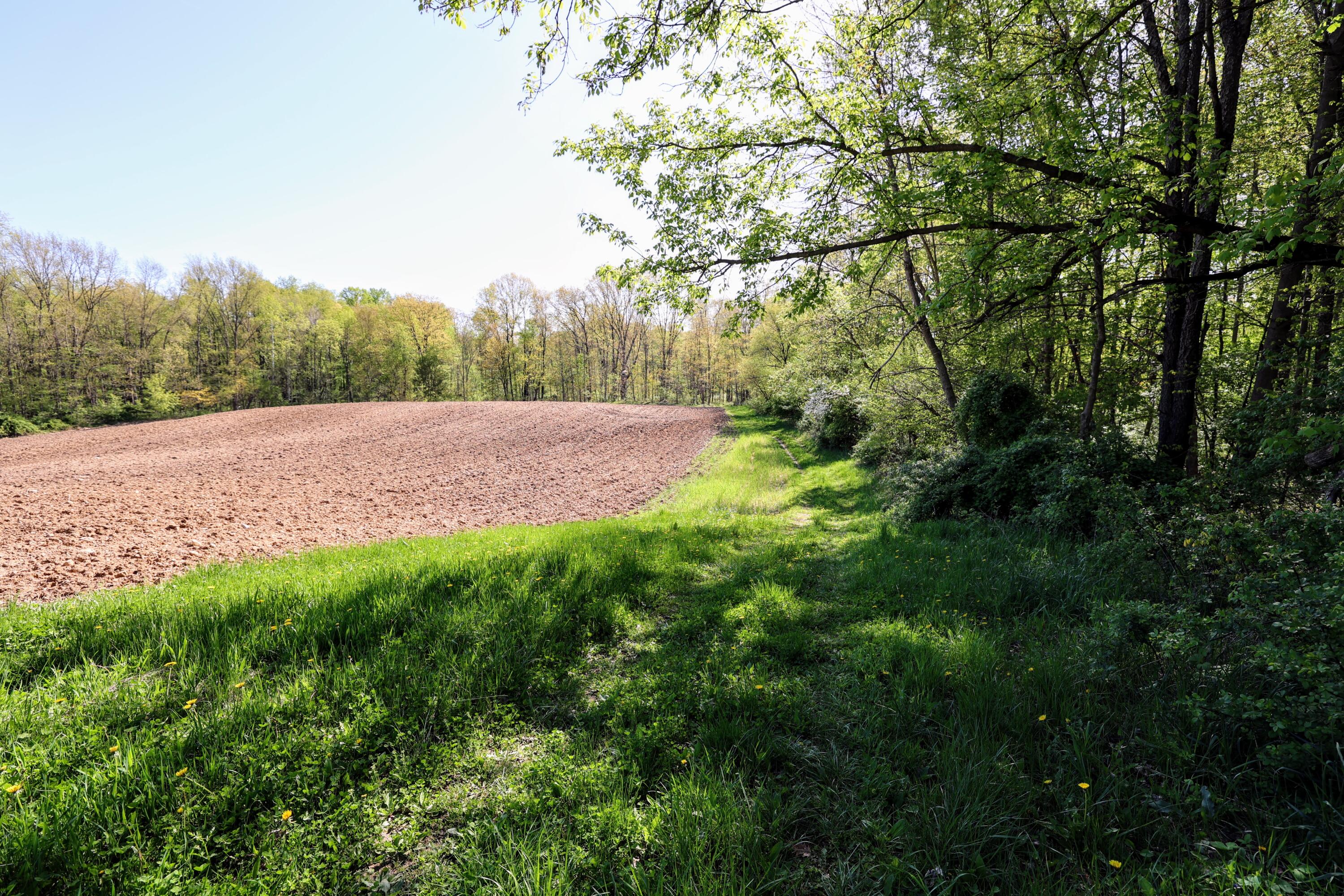 50835 Decatur Road Decatur, MI 49045 - Photo 31 of 74 31