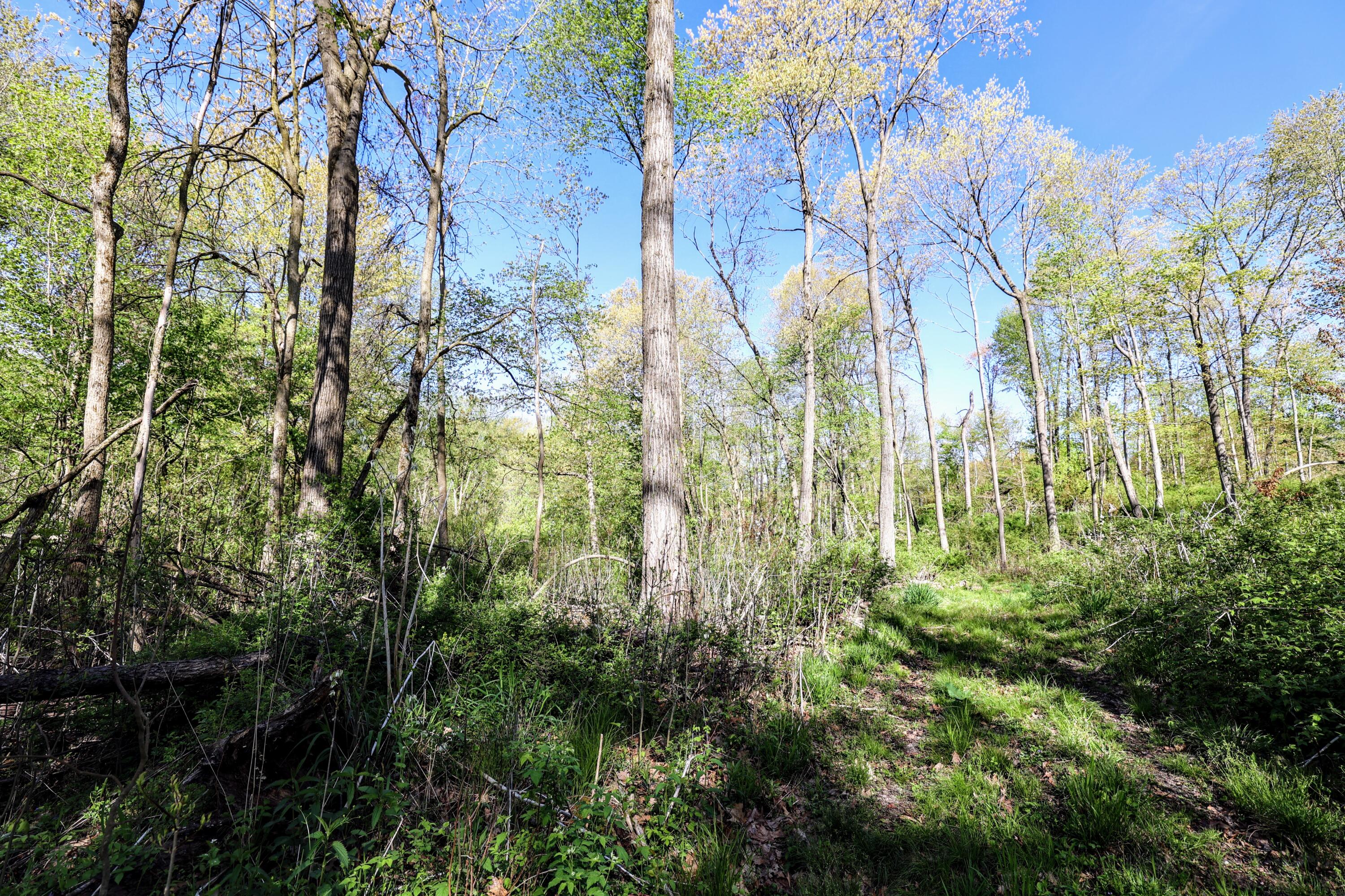 50835 Decatur Road Decatur, MI 49045 - Photo 36 of 74 36