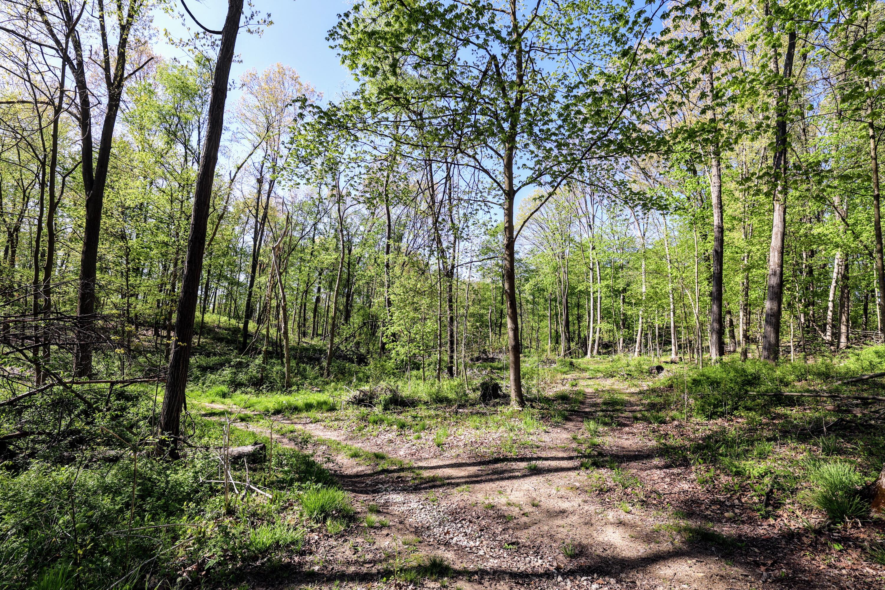 50835 Decatur Road Decatur, MI 49045 - Photo 40 of 74 40