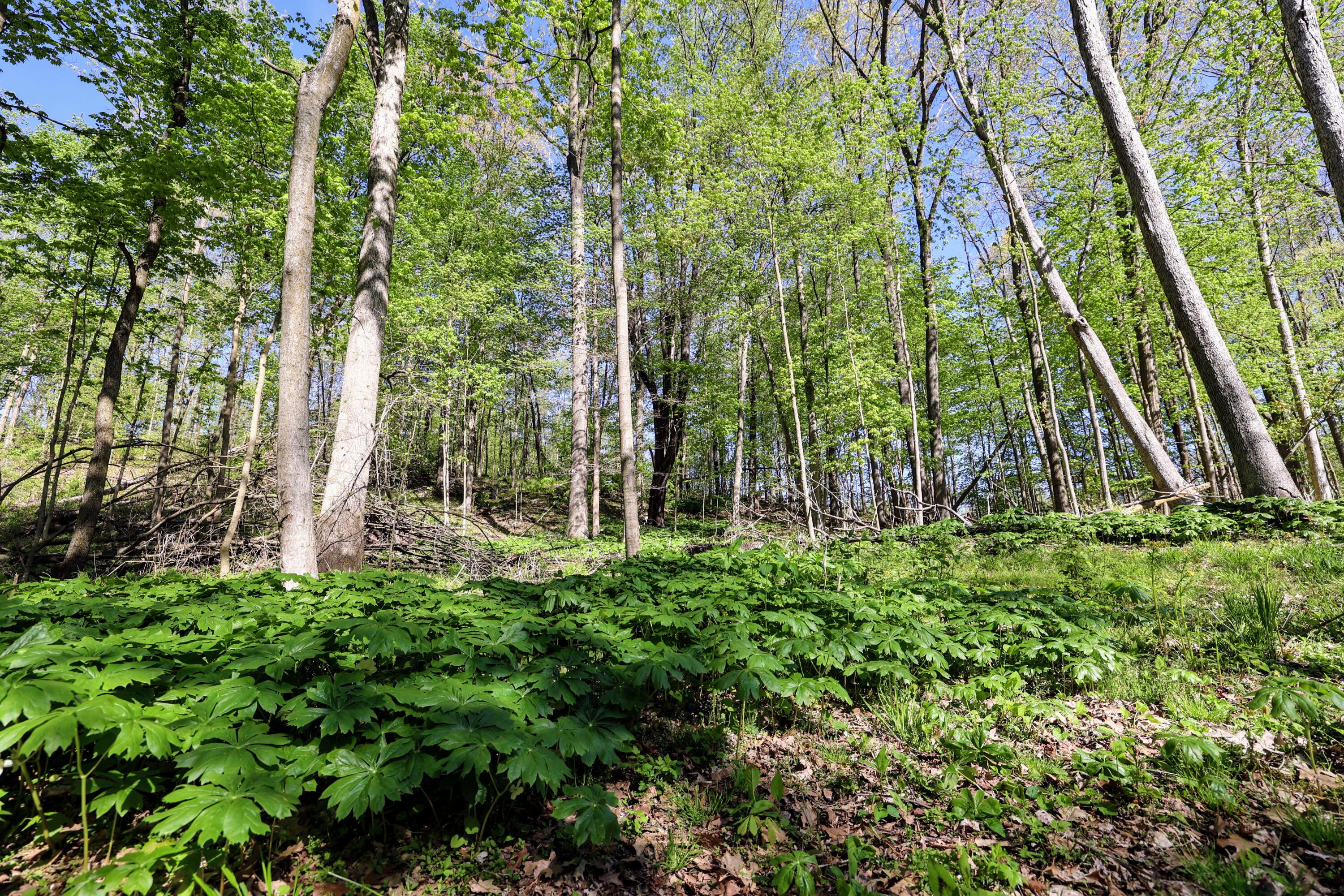 50835 Decatur Road Decatur, MI 49045 - Photo 41 of 74 41