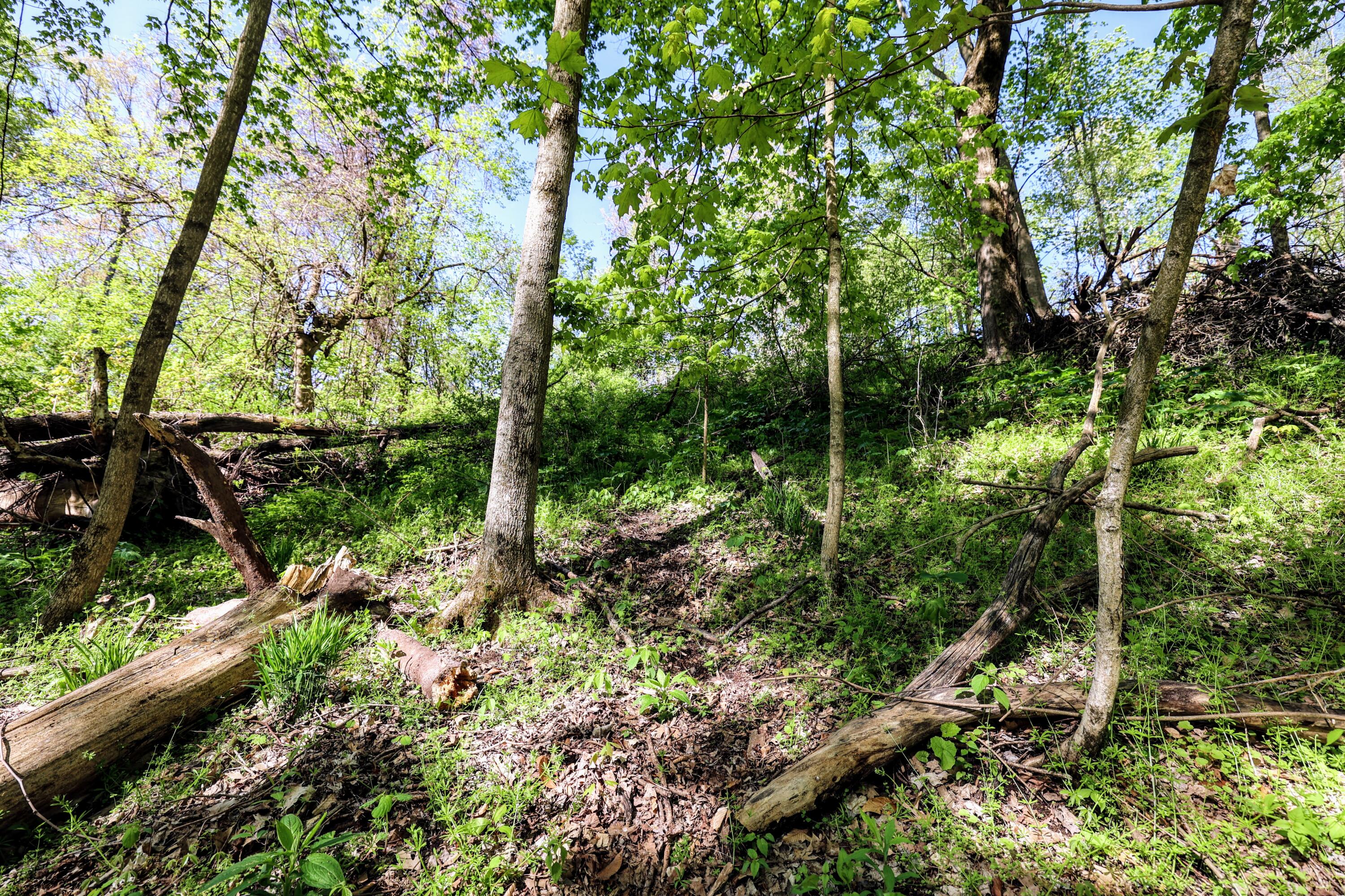 50835 Decatur Road Decatur, MI 49045 - Photo 42 of 74 42