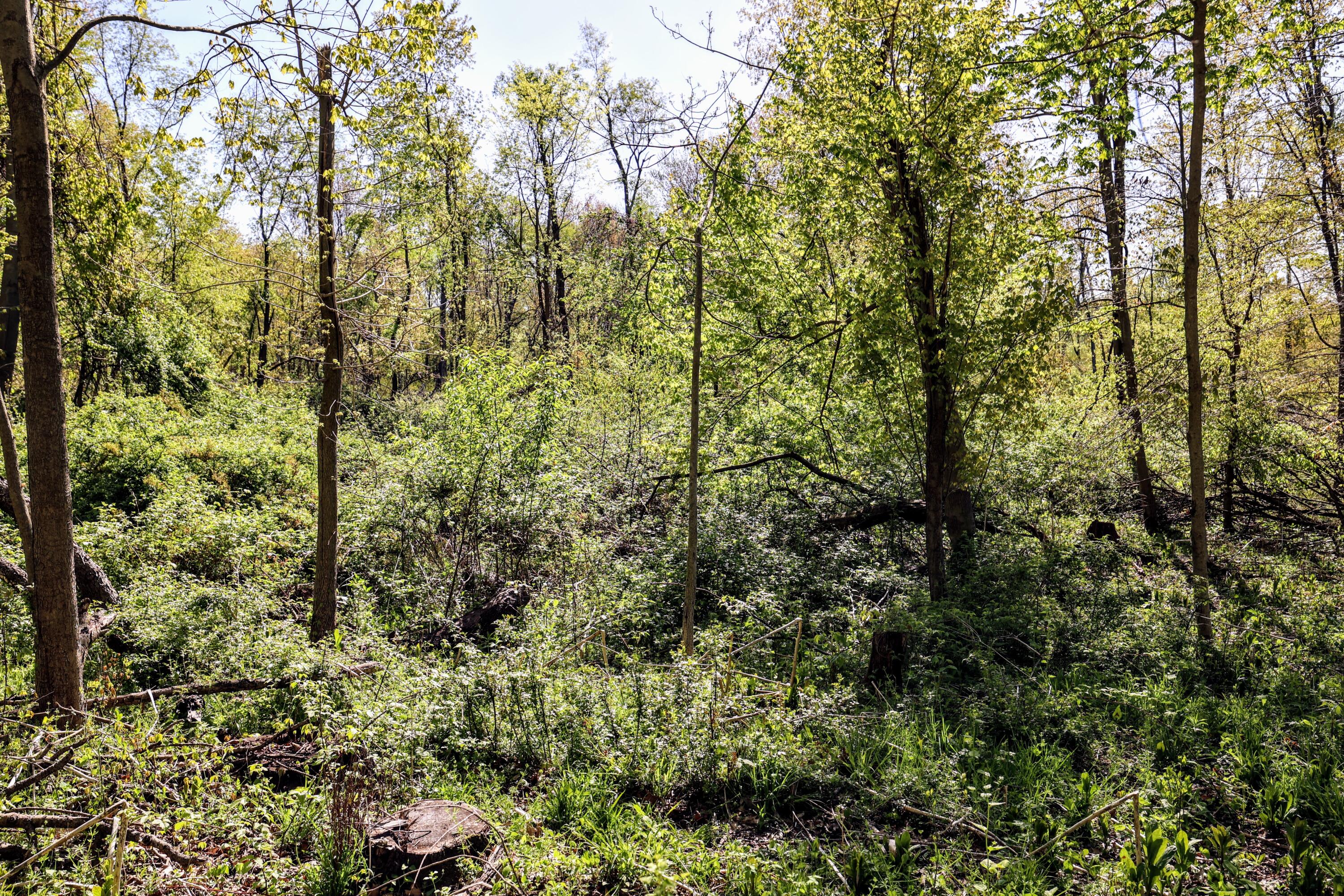50835 Decatur Road Decatur, MI 49045 - Photo 44 of 74 44