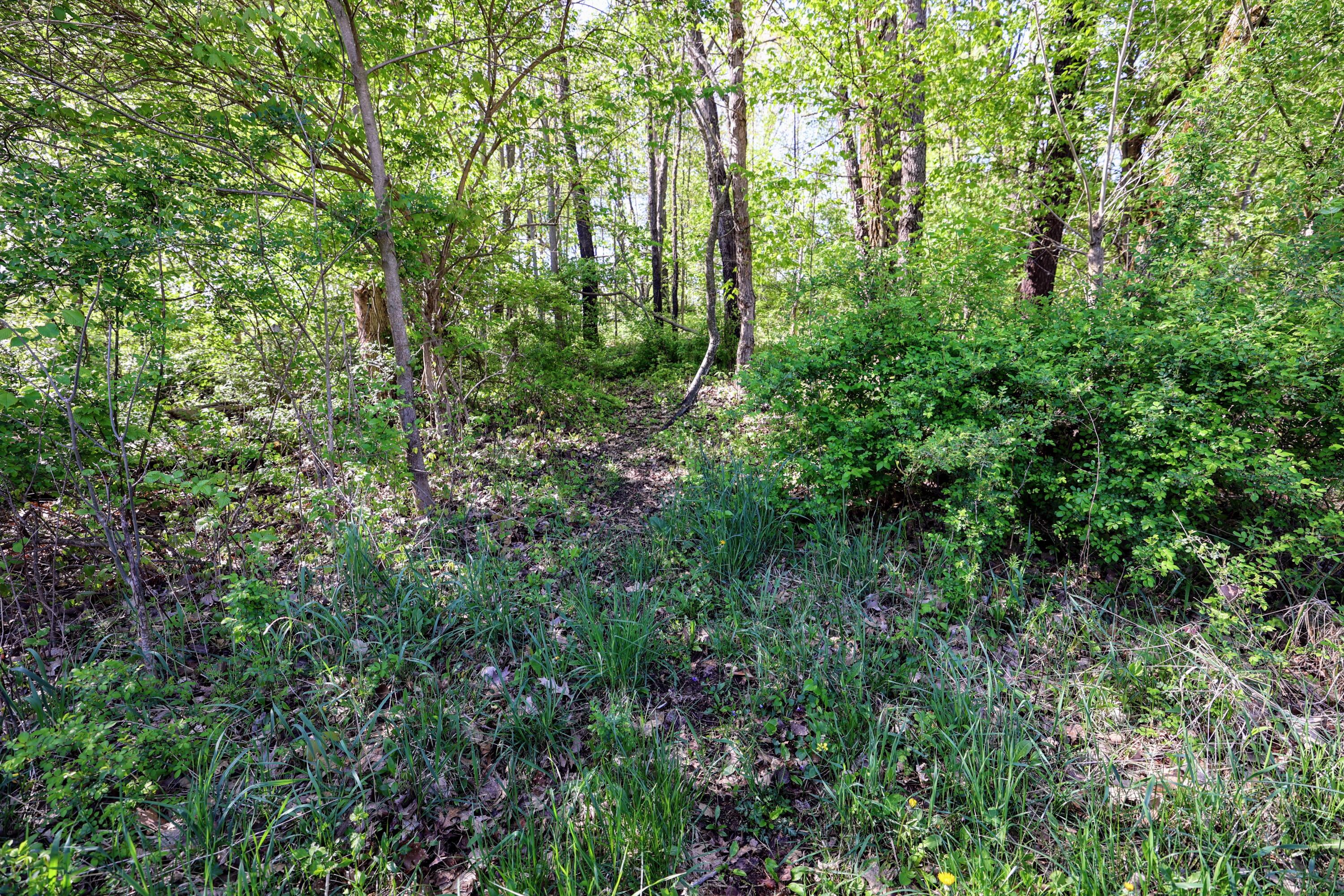 50835 Decatur Road Decatur, MI 49045 - Photo 49 of 74 49