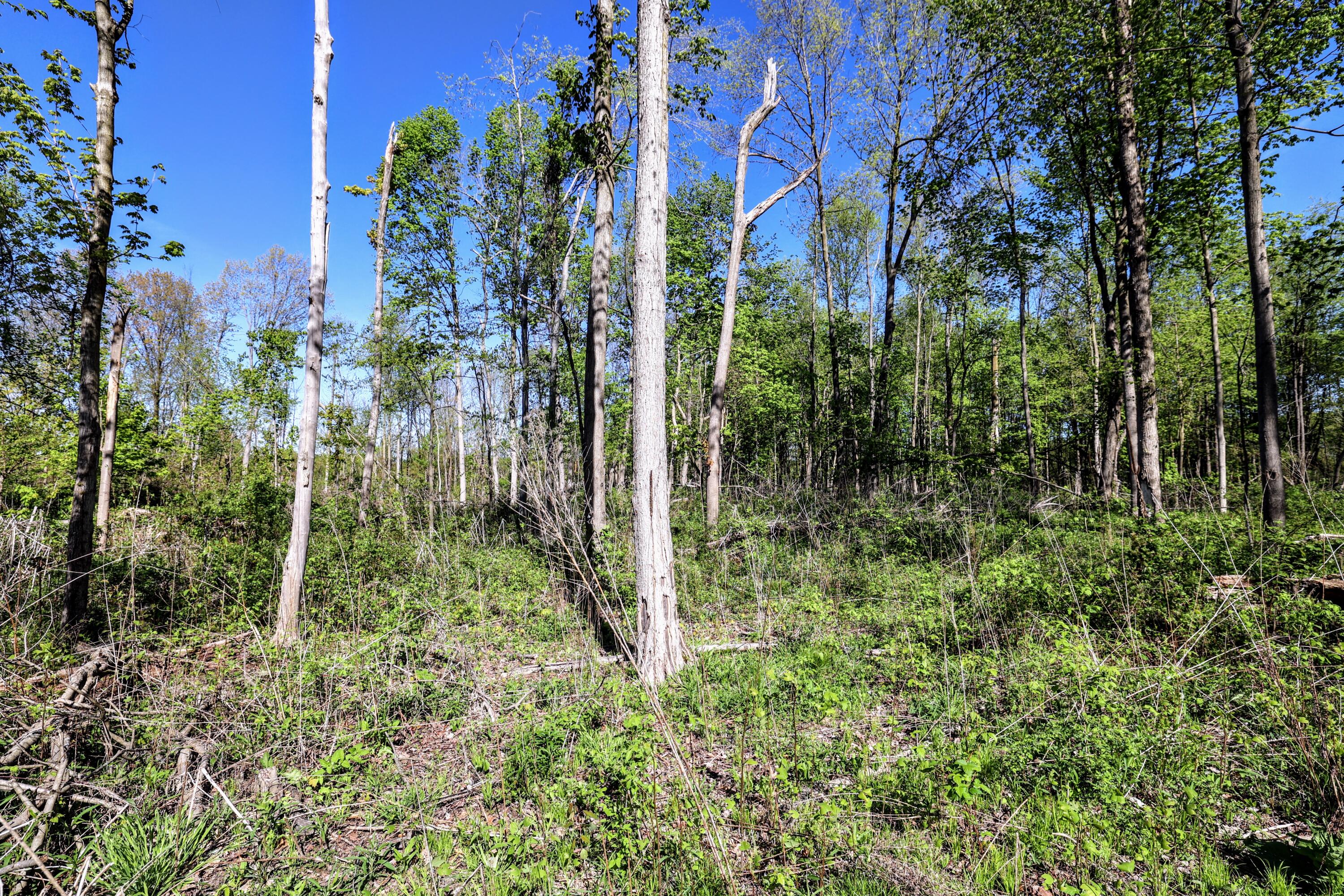 50835 Decatur Road Decatur, MI 49045 - Photo 50 of 74 50