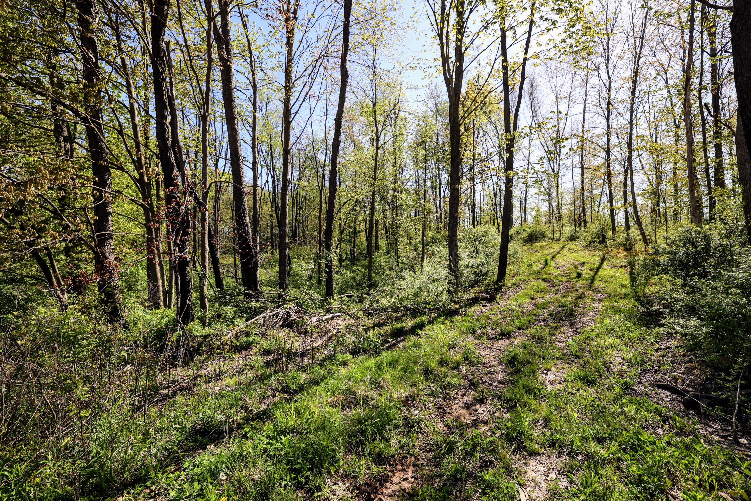 50835 Decatur Road Decatur, MI 49045 - Photo 55 of 74 55