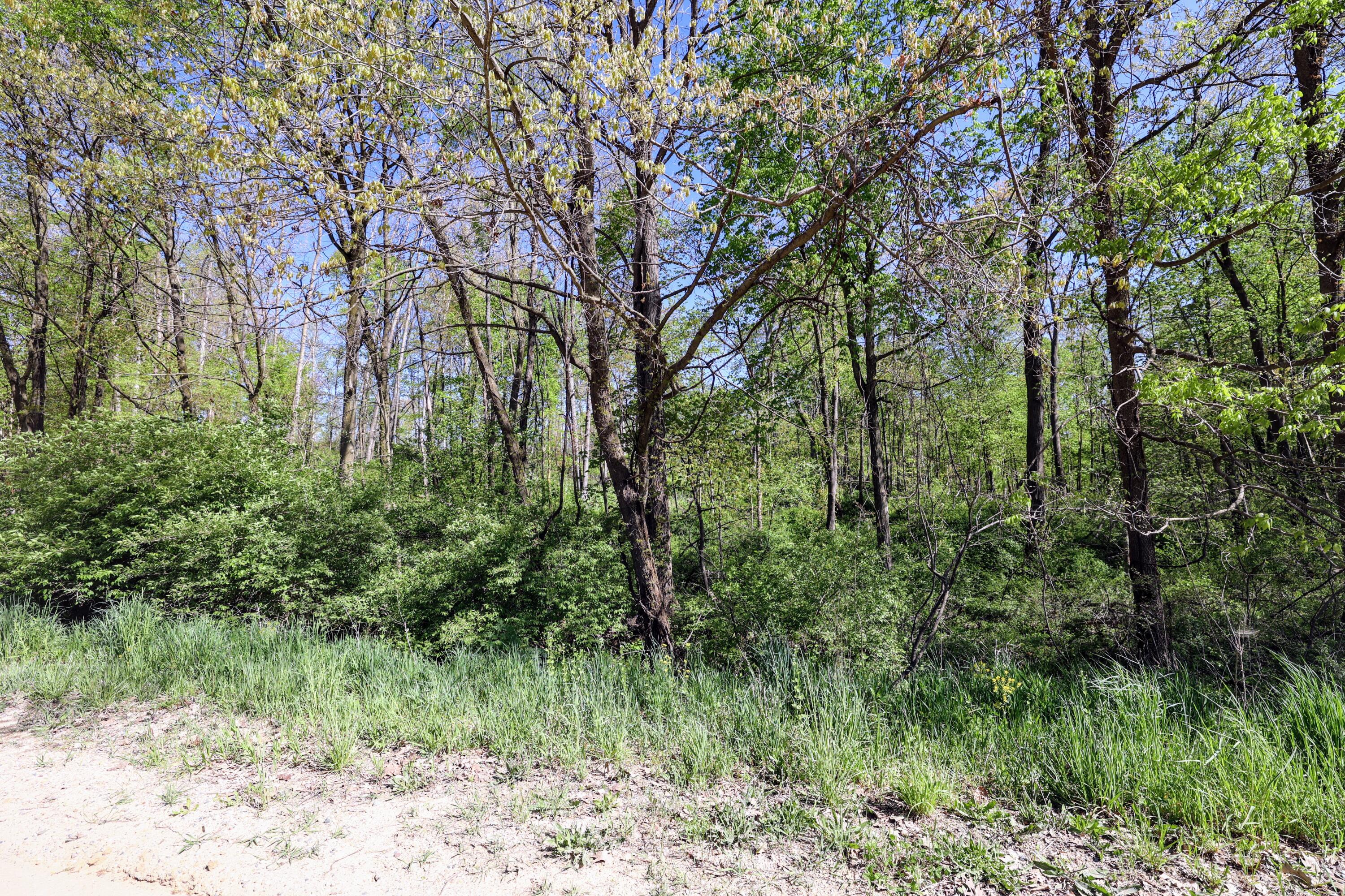 50835 Decatur Road Decatur, MI 49045 - Photo 60 of 74 60
