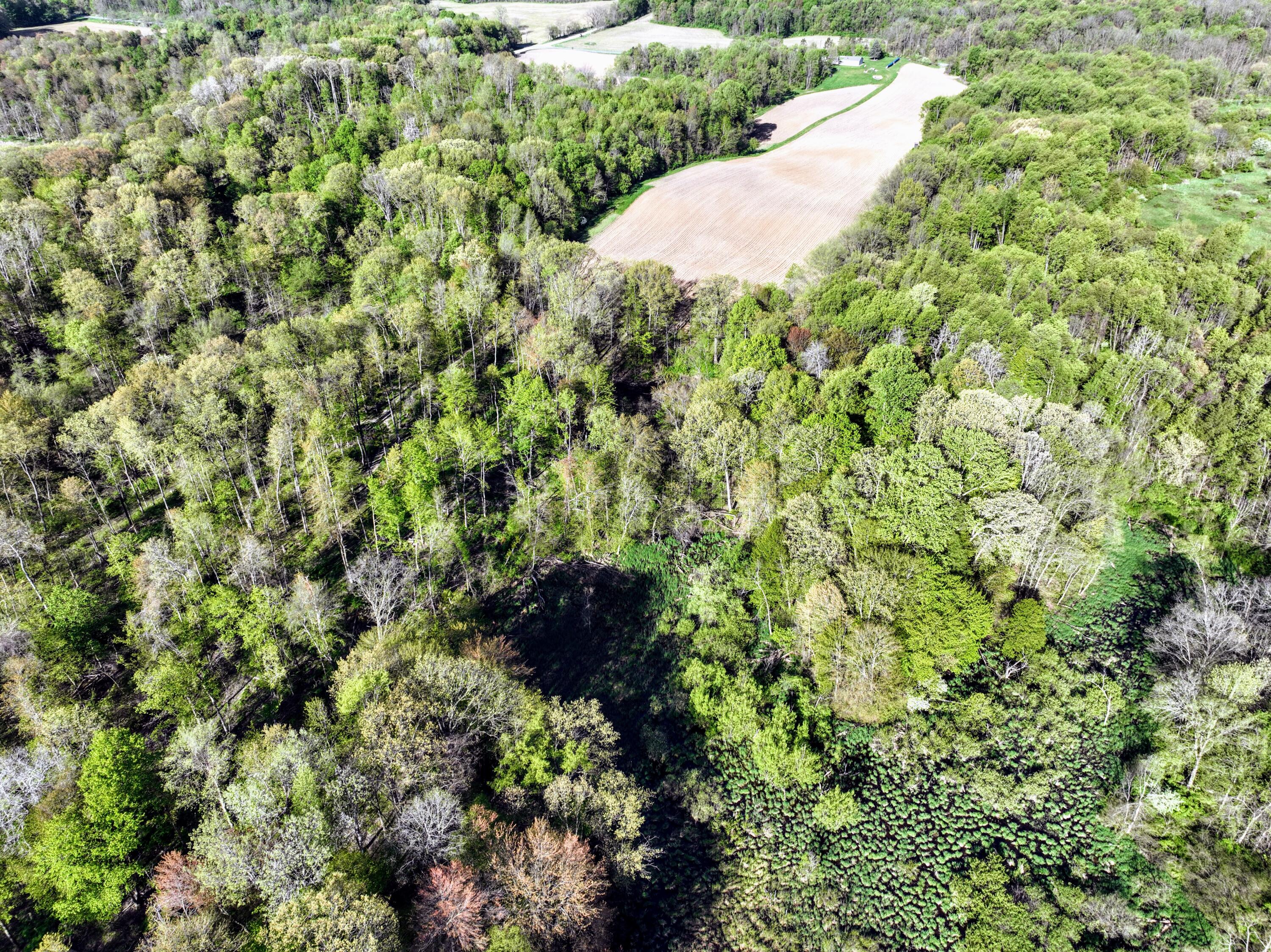 50835 Decatur Road Decatur, MI 49045 - Photo 67 of 74 68