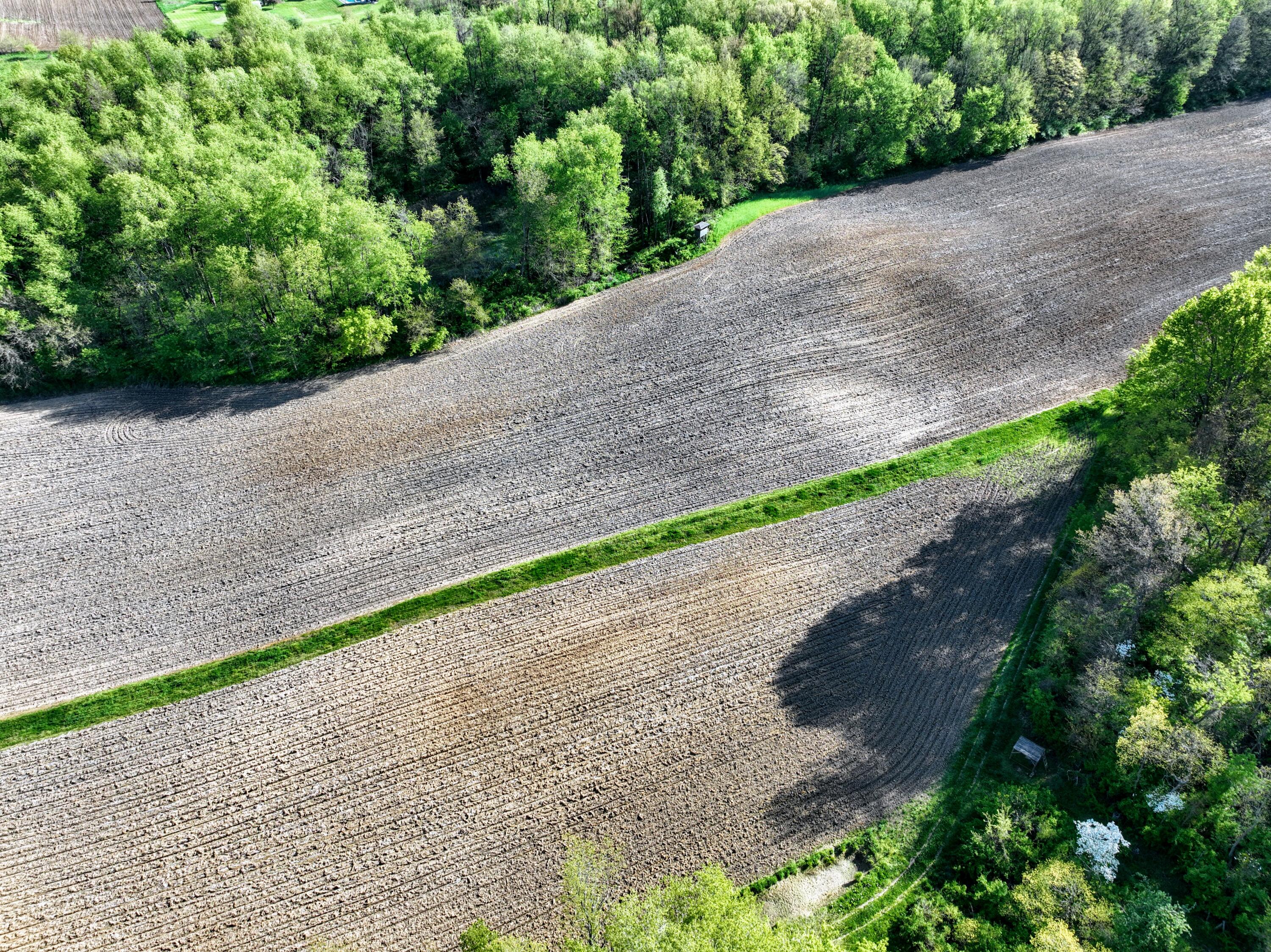50835 Decatur Road Decatur, MI 49045 - Photo 7 of 74 7