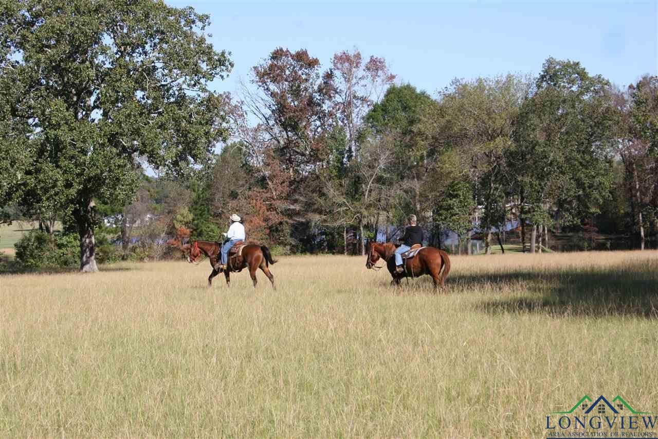 321 Kelly Ranch Road East Jefferson, TX 75657 - Photo 11 of 25 Gallery Image 11