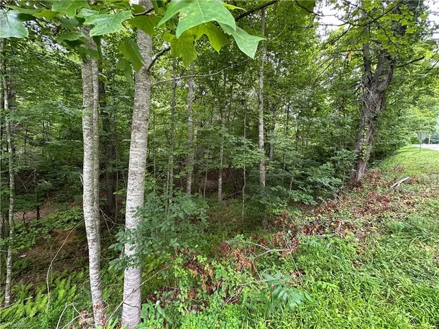 $22,000 | Tbd Tbd Fries Rd/foxfire, Galax, VA 24333