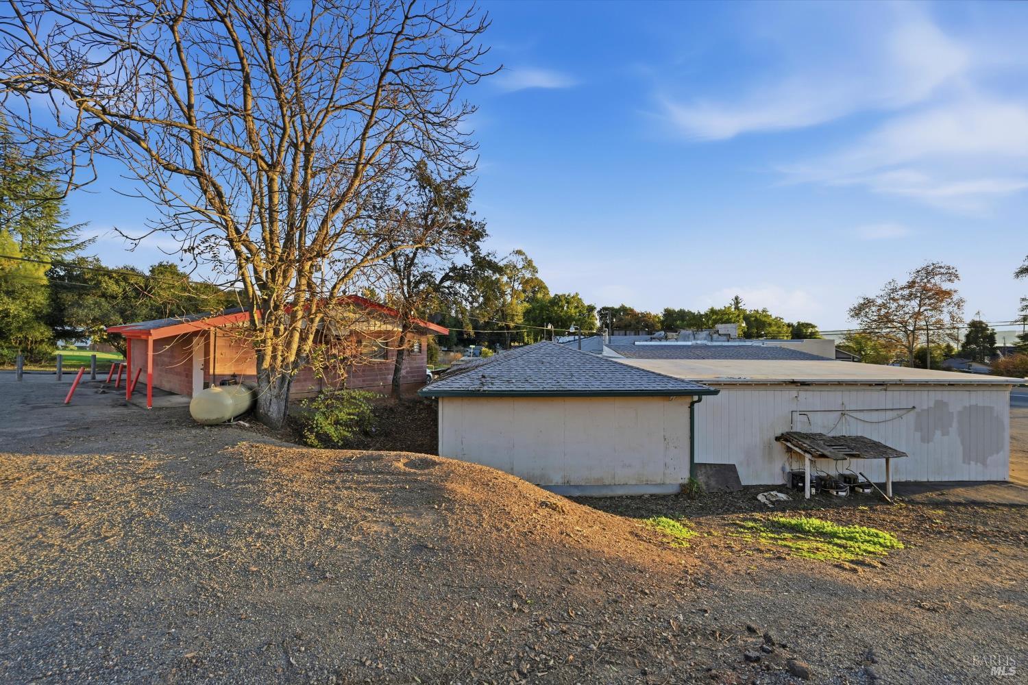 3794 Highway 20 Nice, CA 95464 - Photo 6 of 36 a view of a yard with plants and a tree
