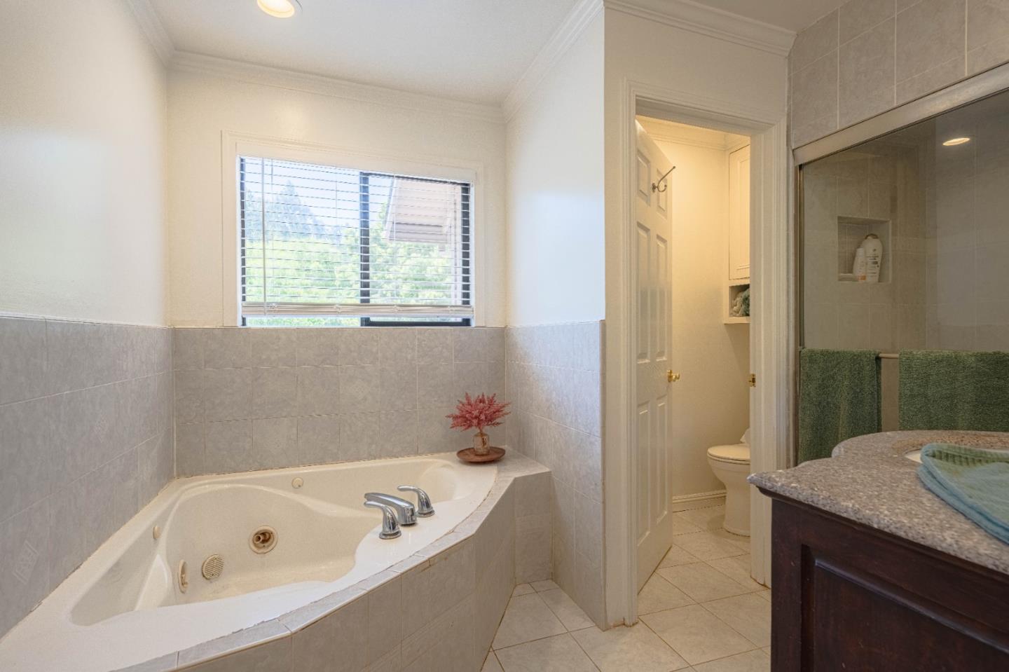5240 Strong Circle Watsonville, CA 95076 - Photo 28 of 51 a bathroom with a tub a sink and a window