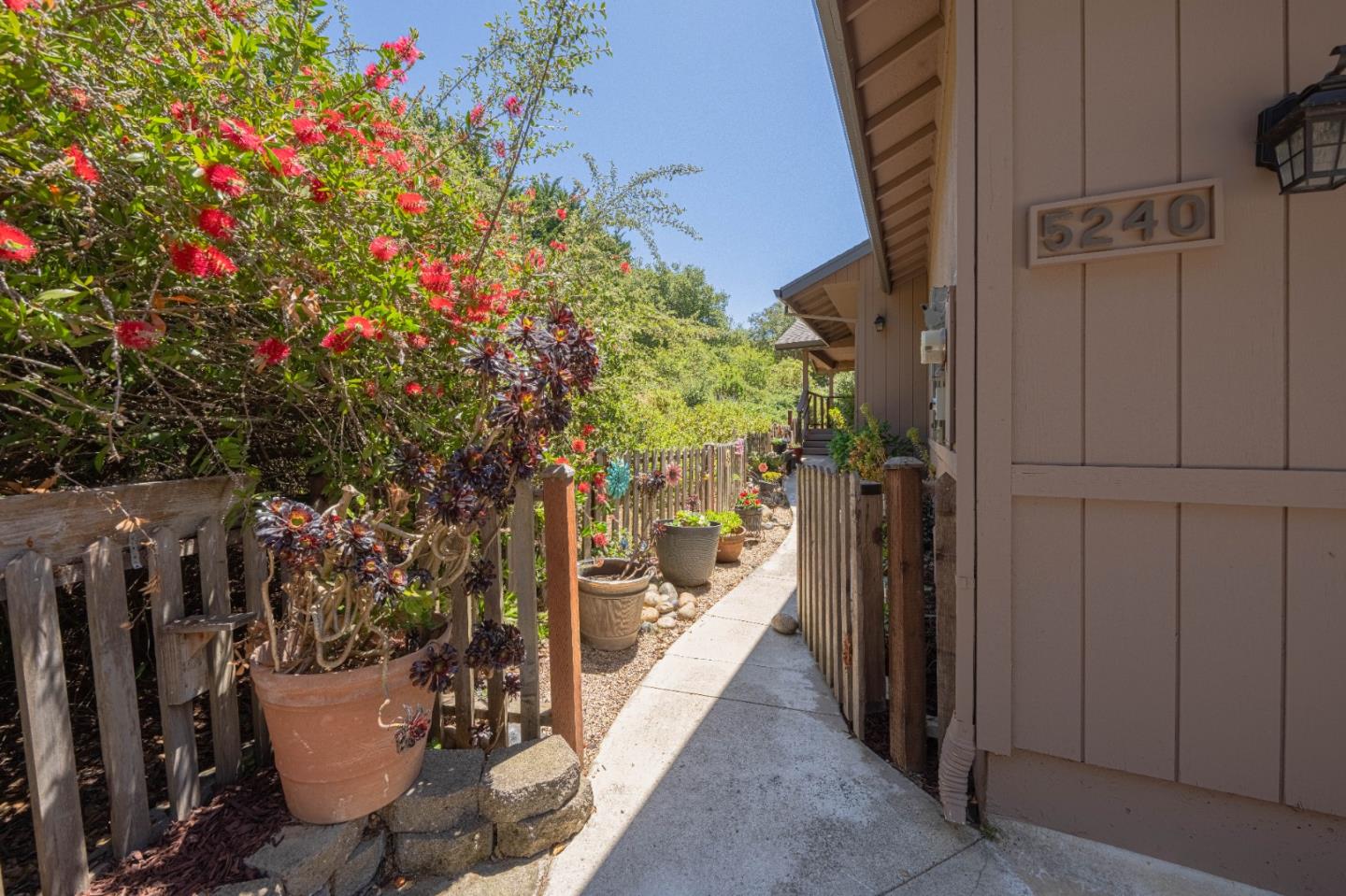 5240 Strong Circle Watsonville, CA 95076 - Photo 4 of 51 a view of a path along with trees