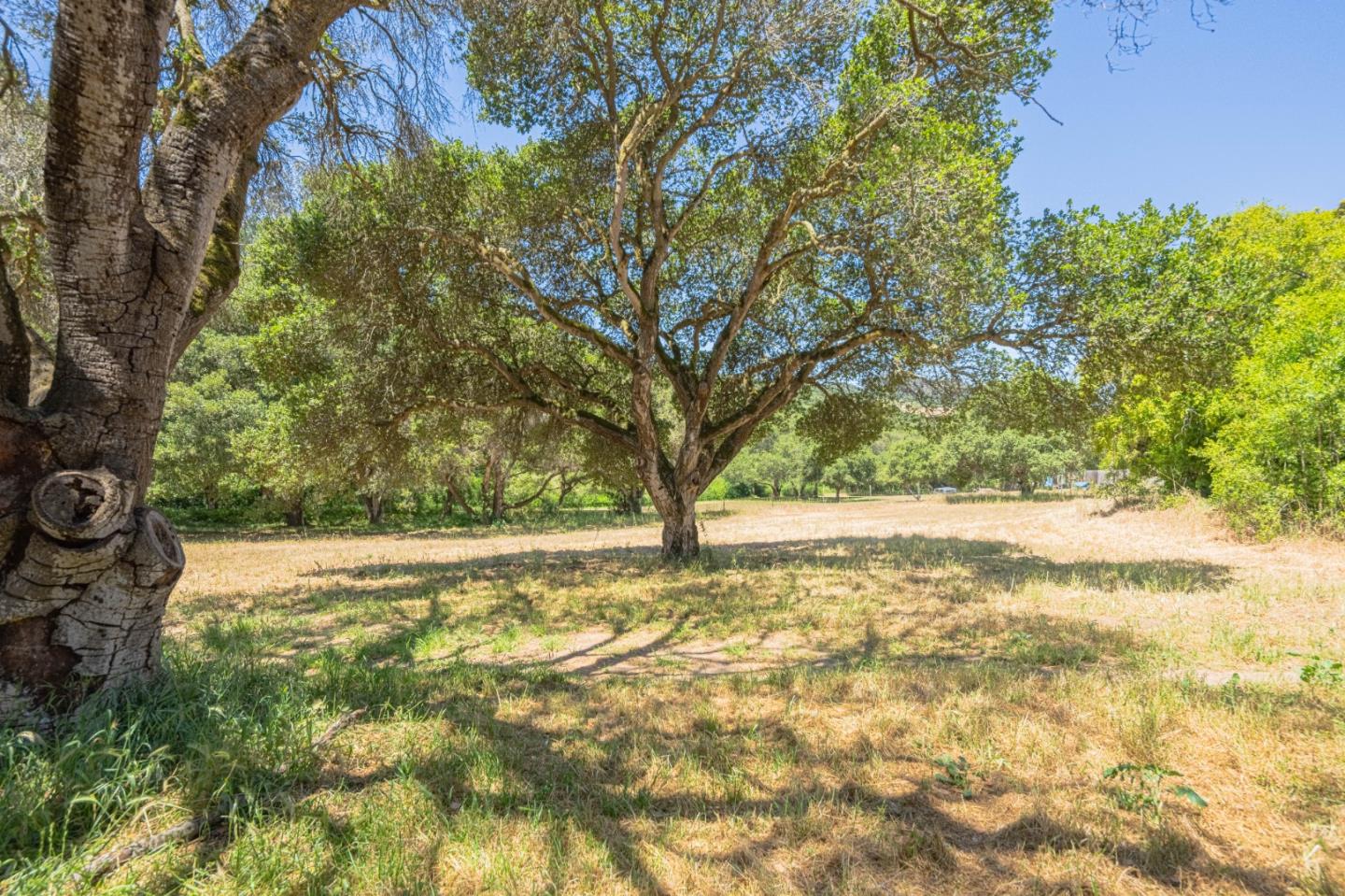 5240 Strong Circle Watsonville, CA 95076 - Photo 43 of 51 a view of yard with trees
