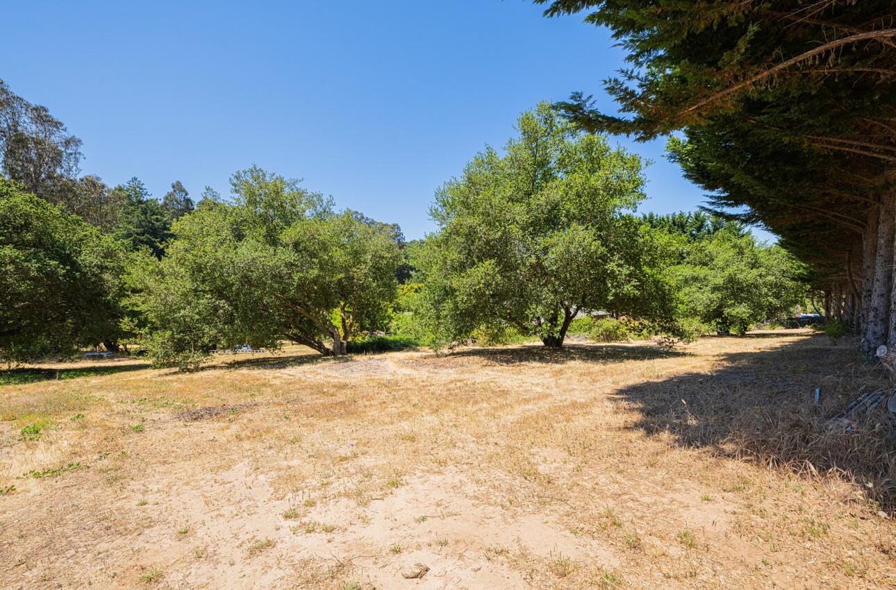 5240 Strong Circle Watsonville, CA 95076 - Photo 50 of 51 a view of a yard with a tree