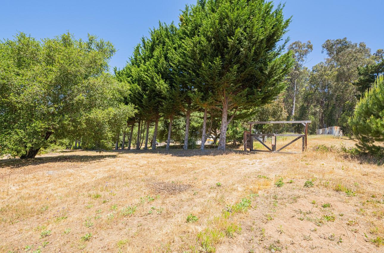 5240 Strong Circle Watsonville, CA 95076 - Photo 51 of 51 a view of a yard with a tree