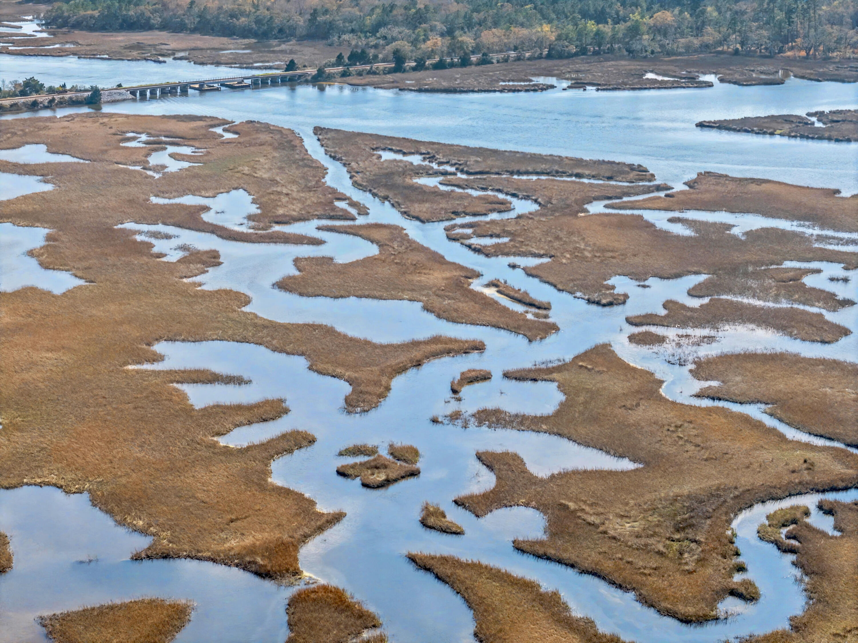 3925 James Bay Road, Unit LOT 11D Johns Island, SC 29455 - Photo 54 of 60 3925 James Bay Road Lot 11-D