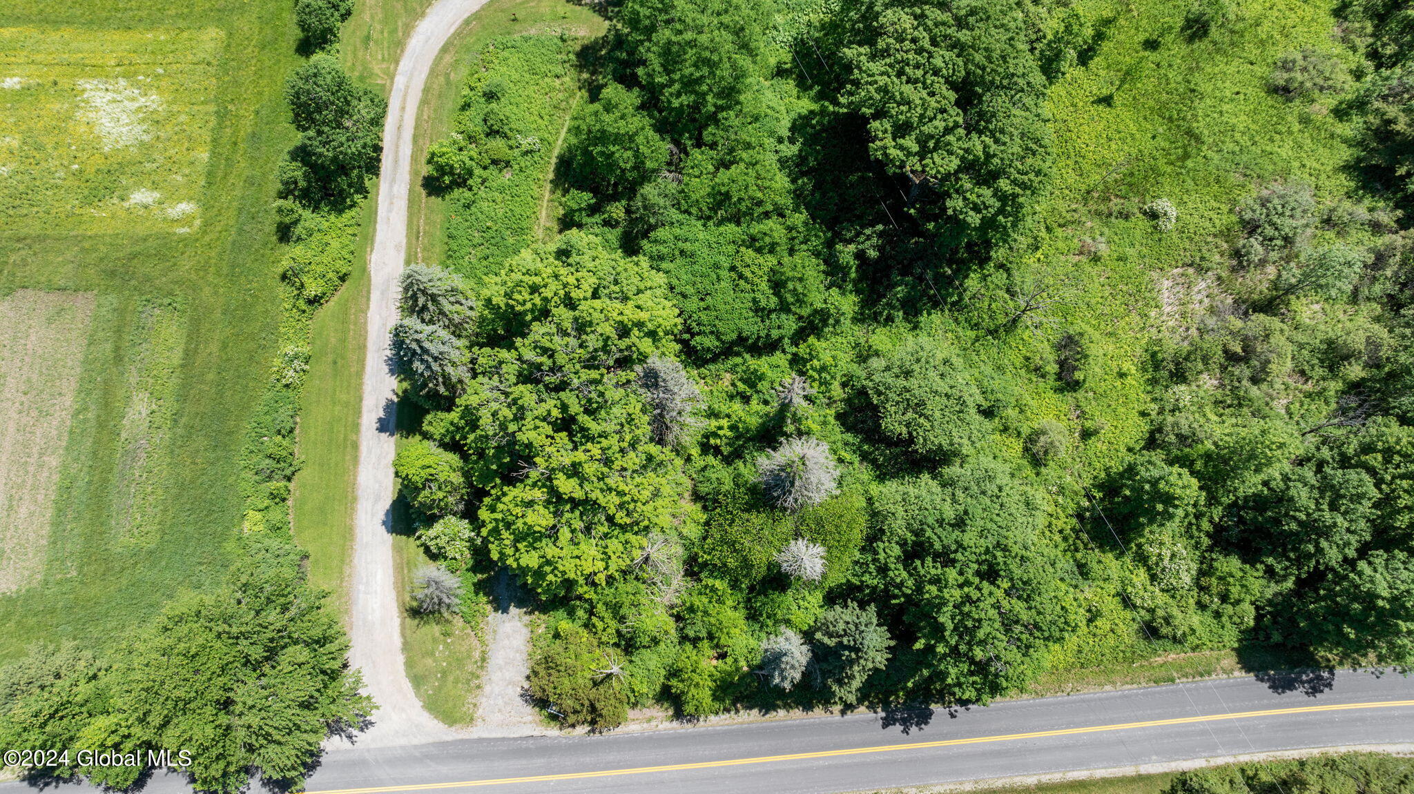 5-web-or-mls-289-morrow-rd
