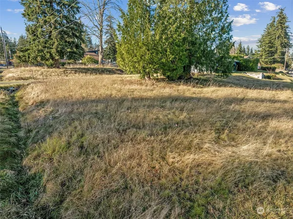 a view of dirt yard with a trees
