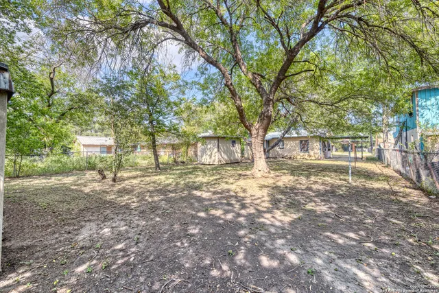 a view of a yard with plants and trees