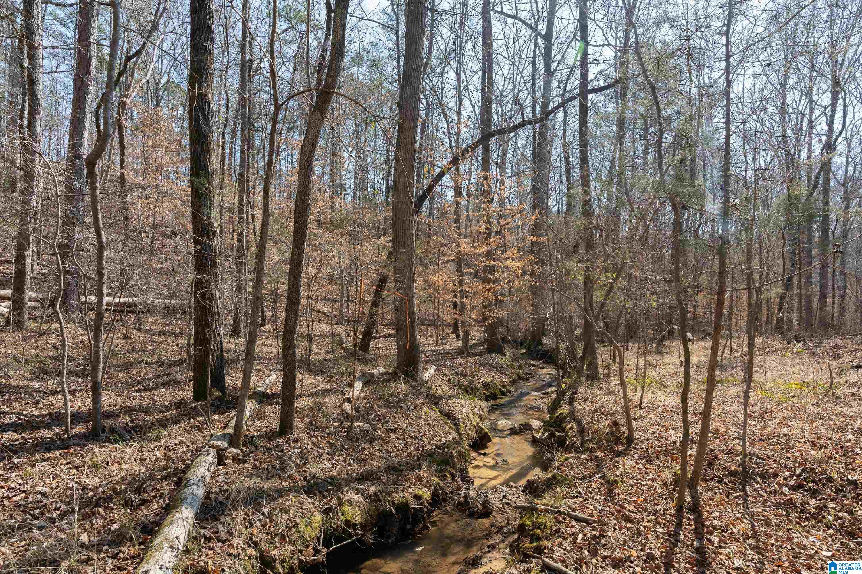 2050 Argo Margaret Road Odenville, AL 35120 - Photo 50 of 61