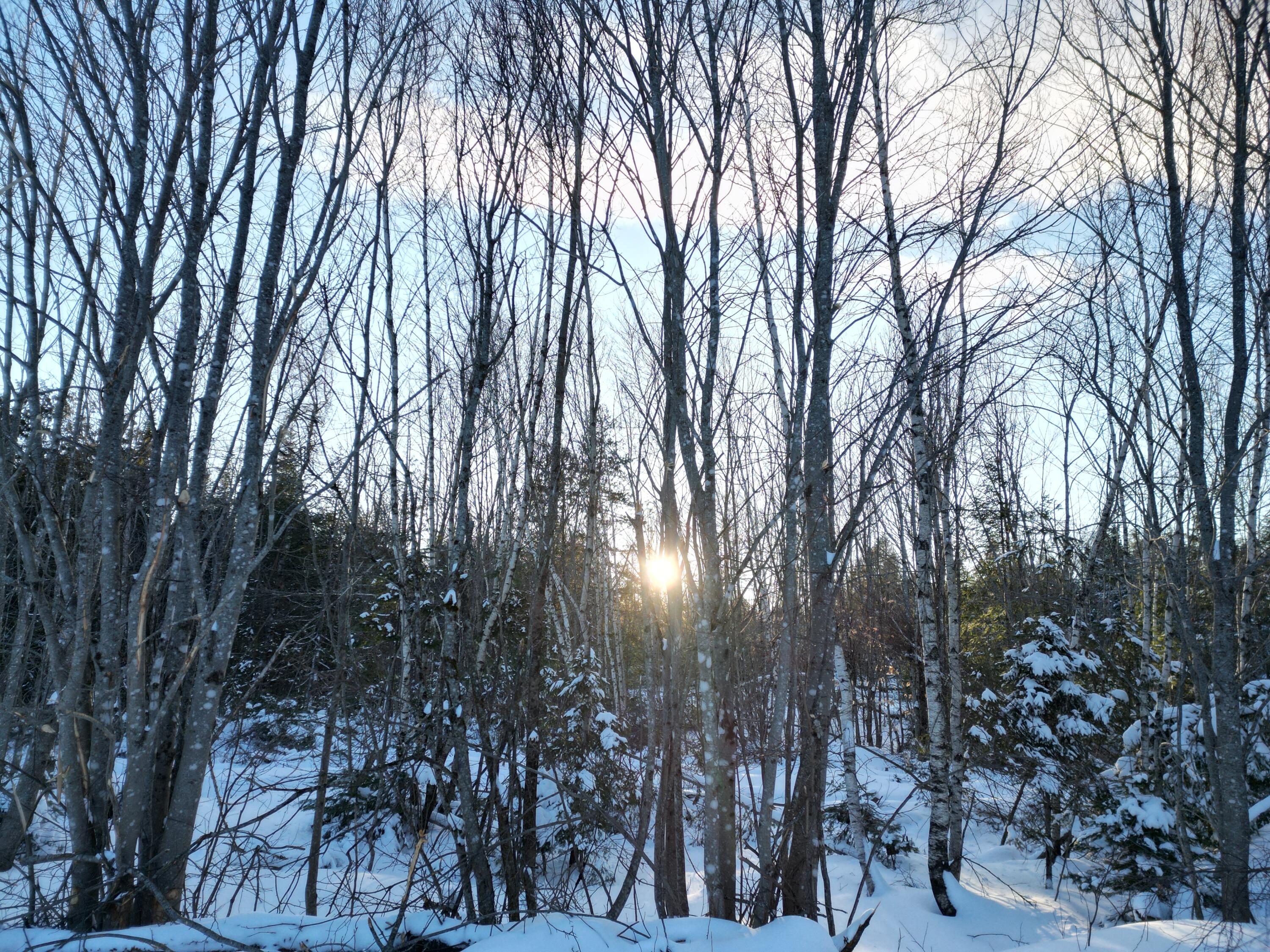 Lot 2 North Danforth Road Carroll Plt, ME 04487 - Photo 2 of 17 DJI_0055