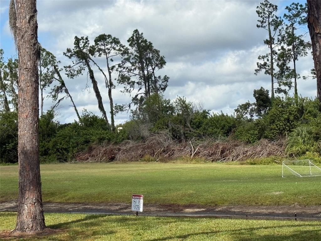 22710 Watersedge Boulevard, Unit 73 Land O' Lakes, FL 34639 - Photo 32 of 39 a view of a golf course with a lake
