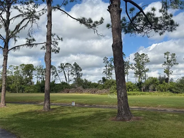 a green field with lots of trees