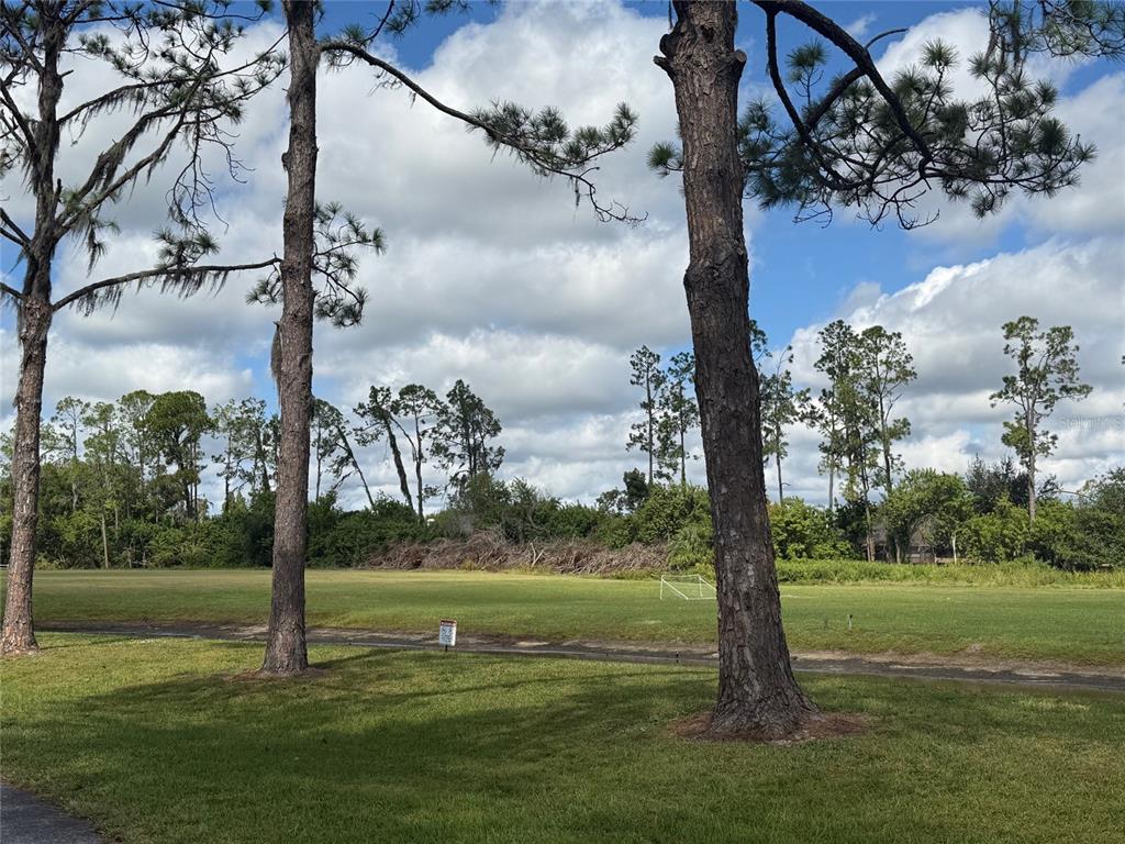 22710 Watersedge Boulevard, Unit 73 Land O' Lakes, FL 34639 - Photo 33 of 39 a view of a garden