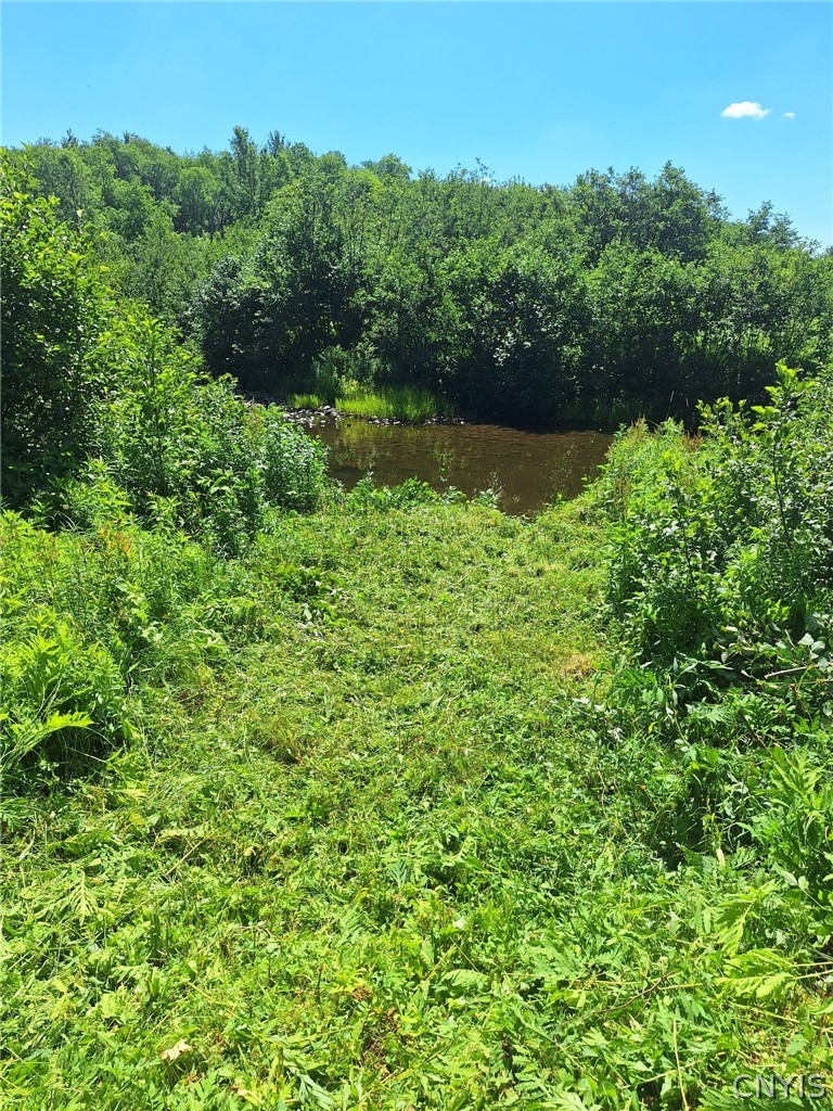 6 Streiff Road Rome, NY 13440 - Photo 7 of 17