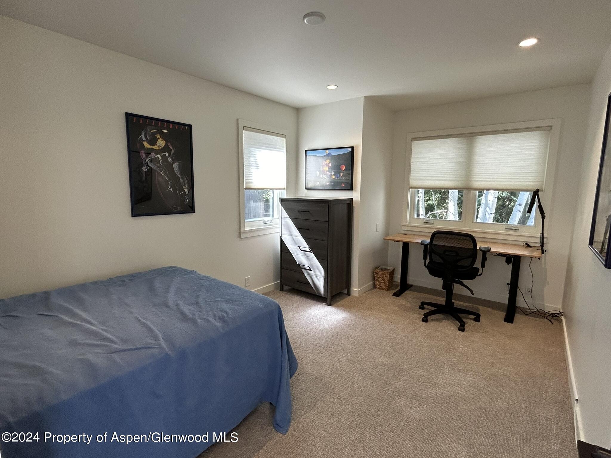 330 Meadow Ranch Road, Unit C22 Snowmass Village, CO 81615 - Photo 13 of 23 IMG_5341