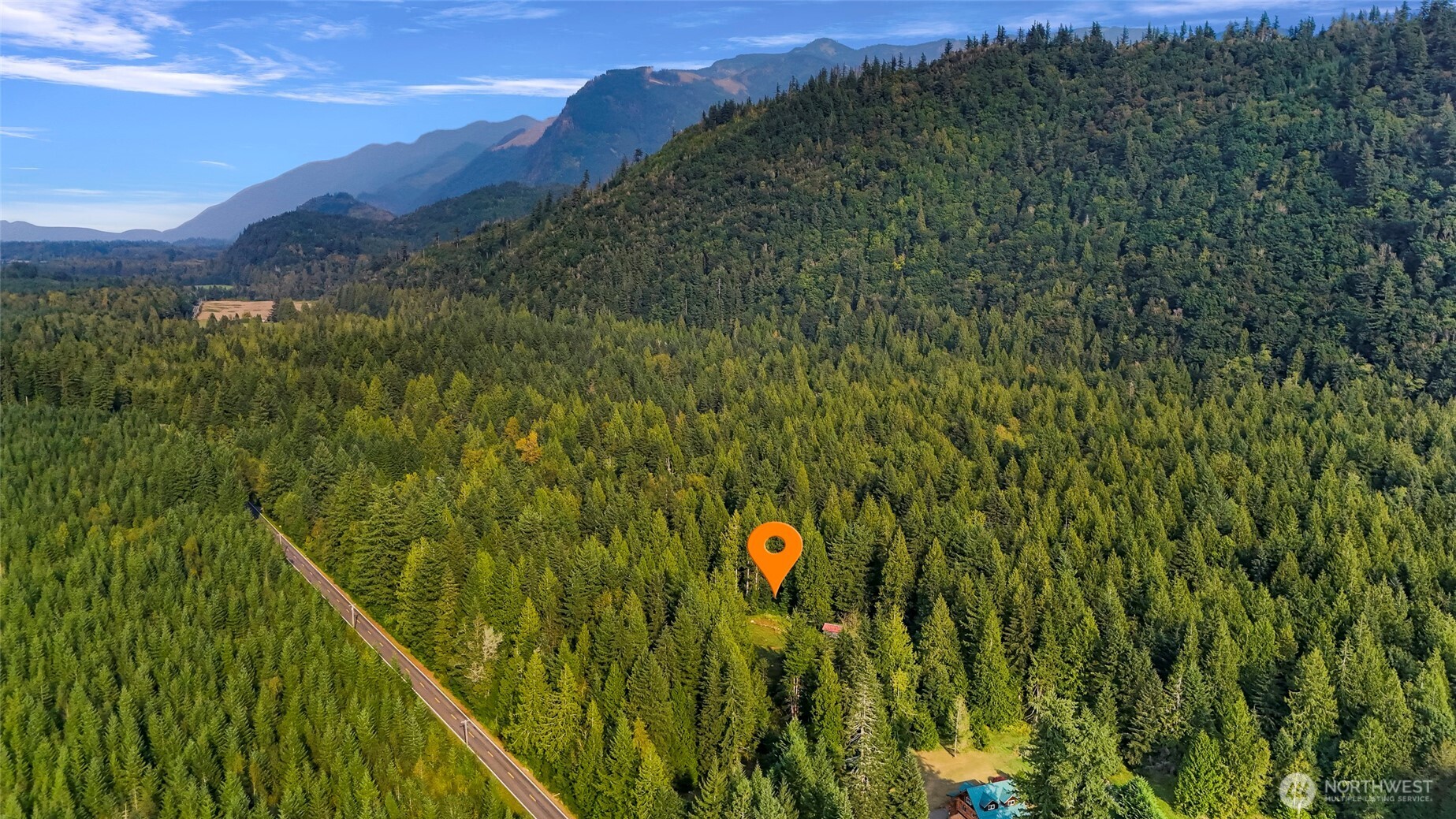 6801 South Pass Road Maple Falls, WA 98266 - Photo 17 of 17 a view of a lush green forest