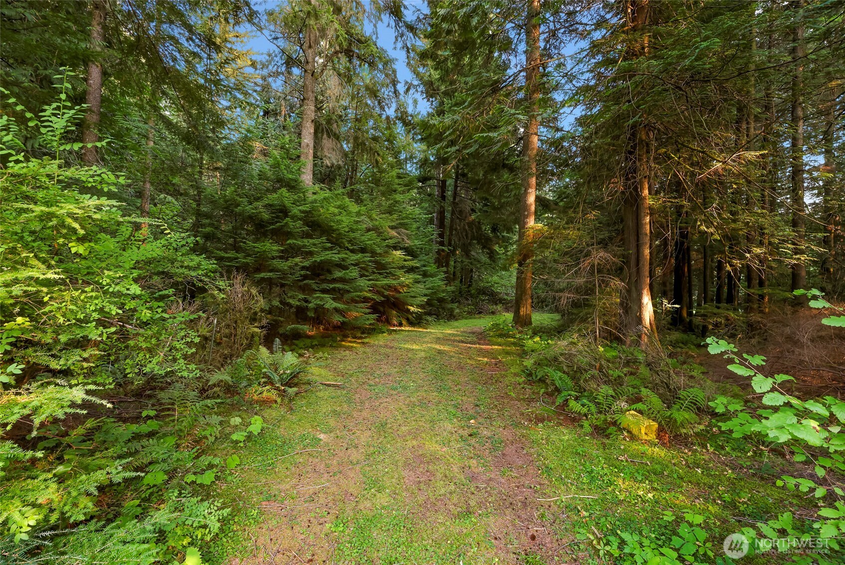 6801 South Pass Road Maple Falls, WA 98266 - Photo 3 of 17 a view of yard with green space