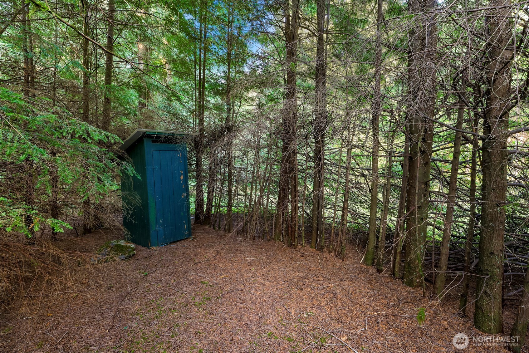 6801 South Pass Road Maple Falls, WA 98266 - Photo 5 of 17 a view of a outdoor space