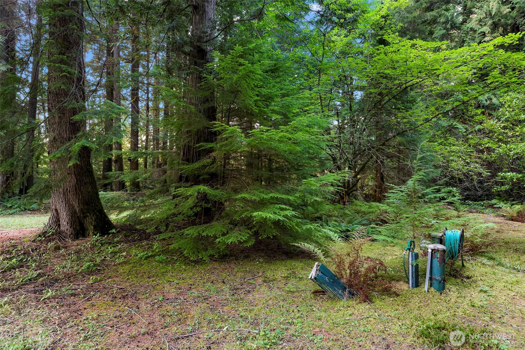6801 South Pass Road Maple Falls, WA 98266 - Photo 7 of 17 a backyard of a house with a yard and outdoor seating