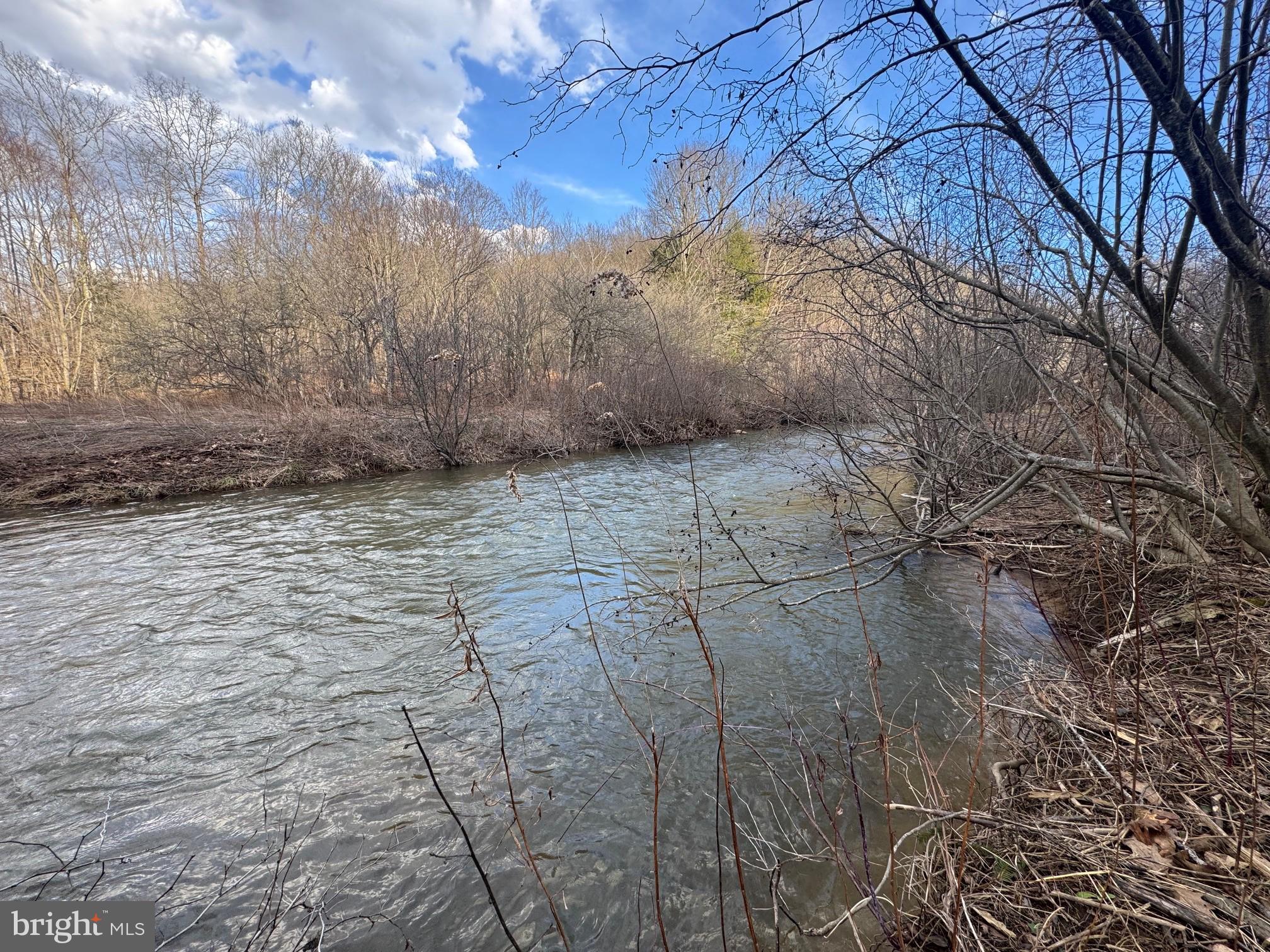 a view of a yard with trees