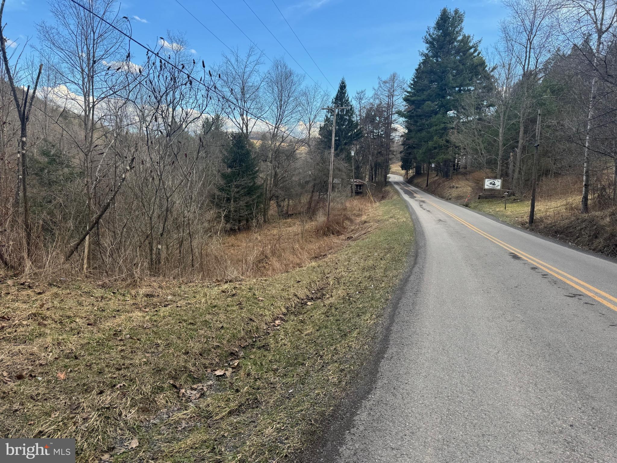 Jennings Road Grantsville, MD 21536 - Photo 11 of 39 a view of a yard with trees
