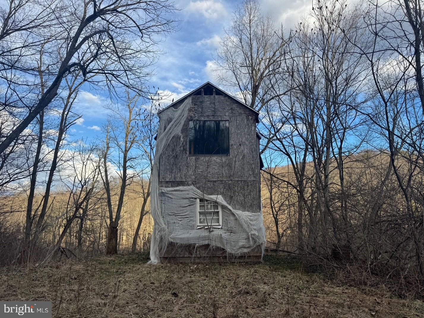 Jennings Road Grantsville, MD 21536 - Photo 12 of 39 a backyard of a house with lots of green space