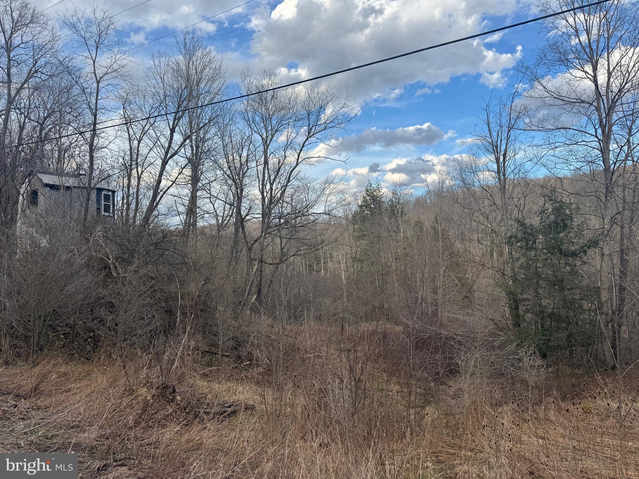 Jennings Road Grantsville, MD 21536 - Photo 13 of 39 a view of a forest
