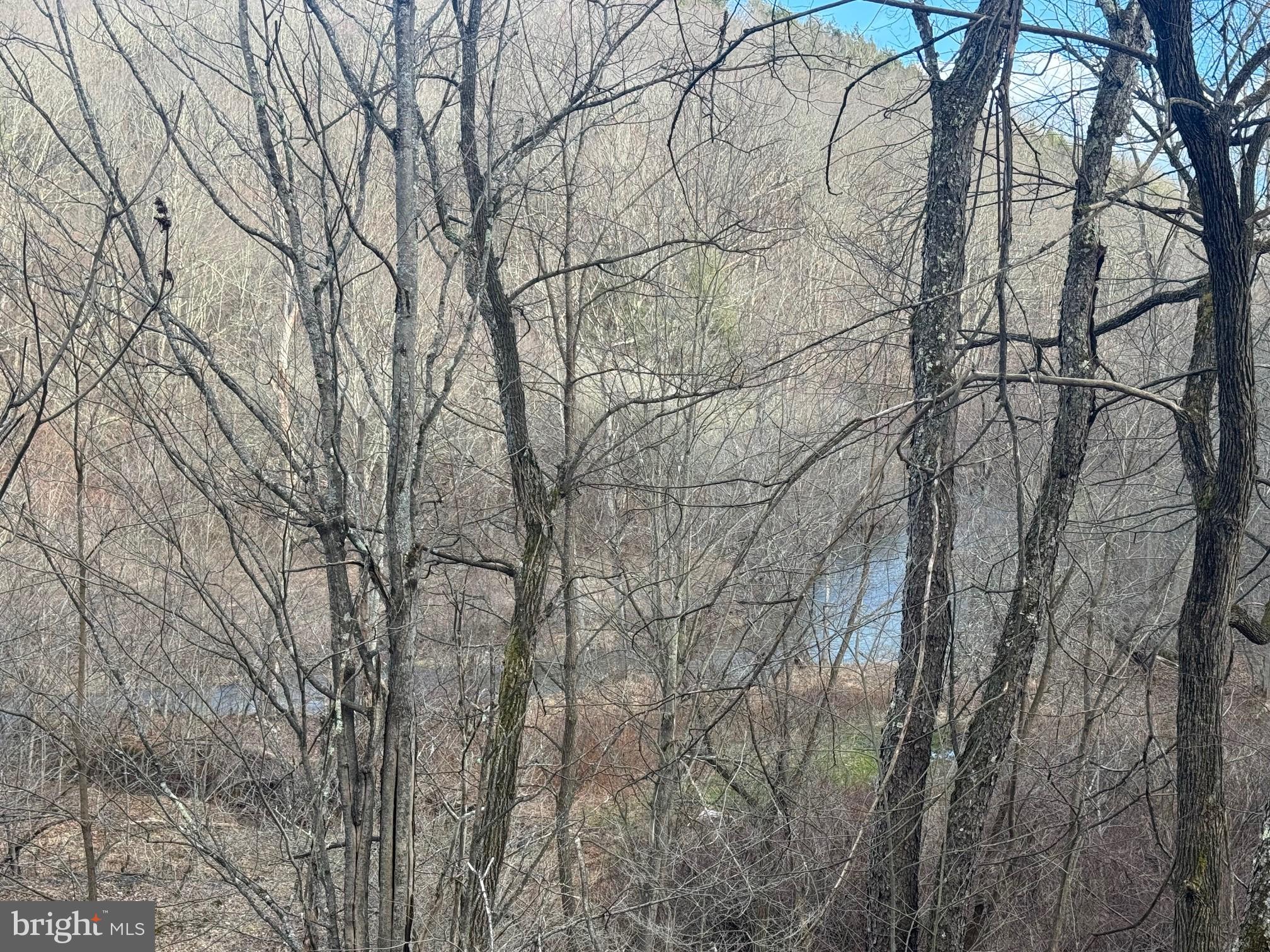 Jennings Road Grantsville, MD 21536 - Photo 16 of 39 a backyard of a house with lots of trees