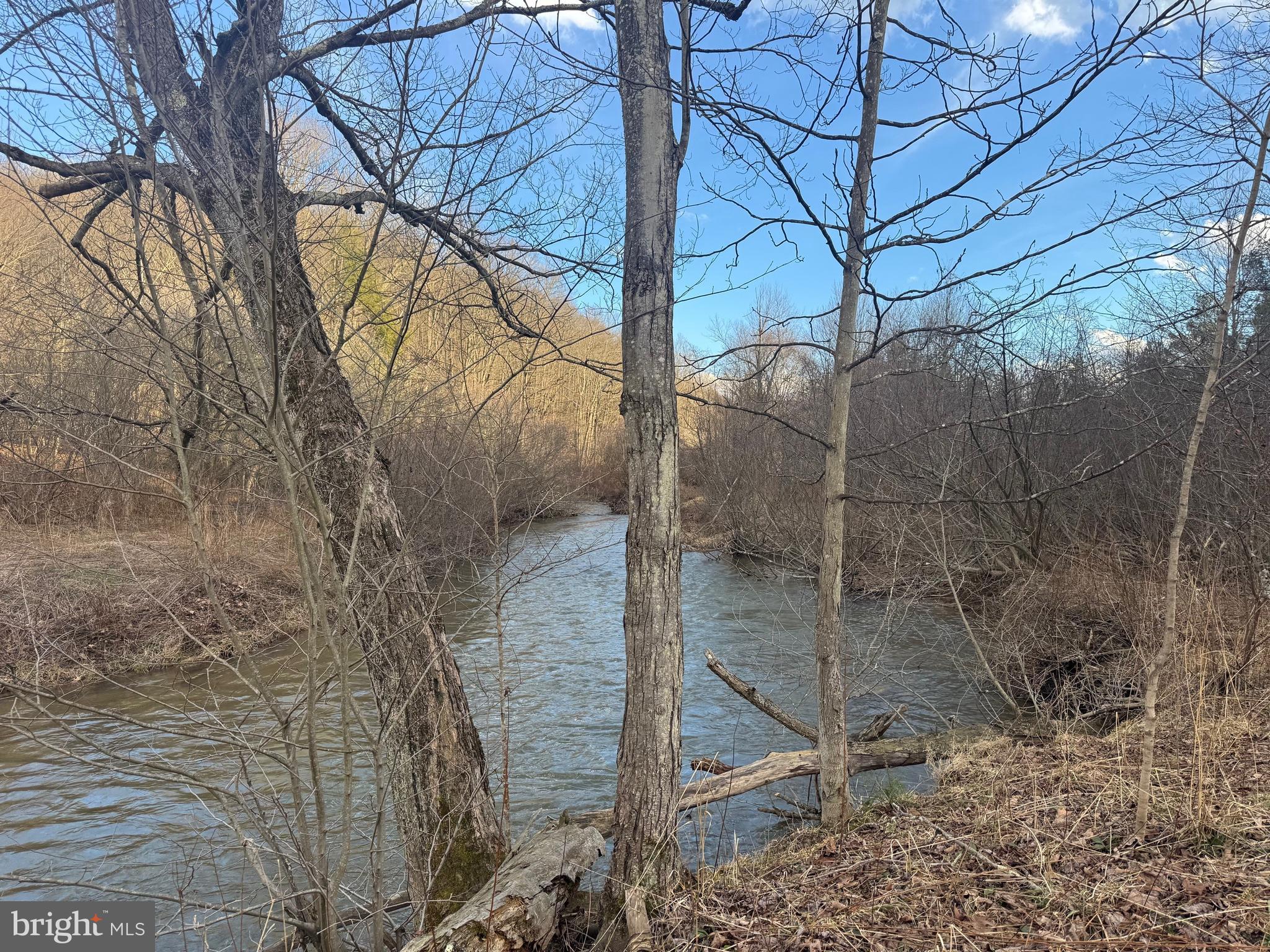 Jennings Road Grantsville, MD 21536 - Photo 17 of 39 a view of a pathway with a yard