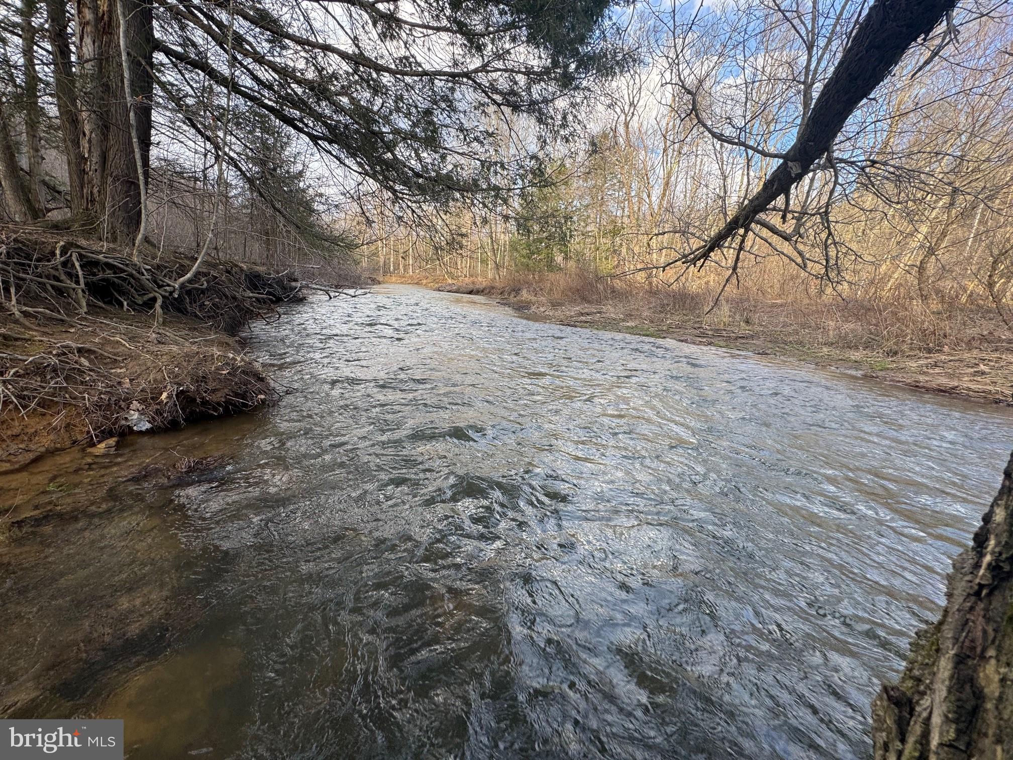 Jennings Road Grantsville, MD 21536 - Photo 19 of 39 a view of empty yard with large trees