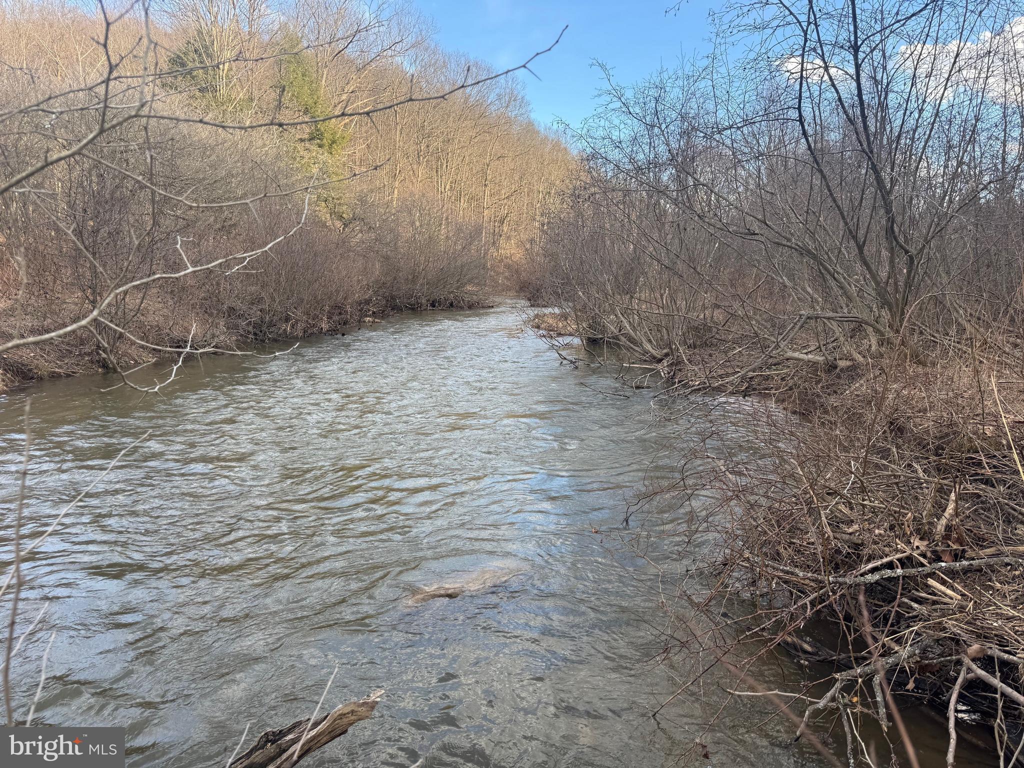 Jennings Road Grantsville, MD 21536 - Photo 20 of 39 a view of a backyard of the house