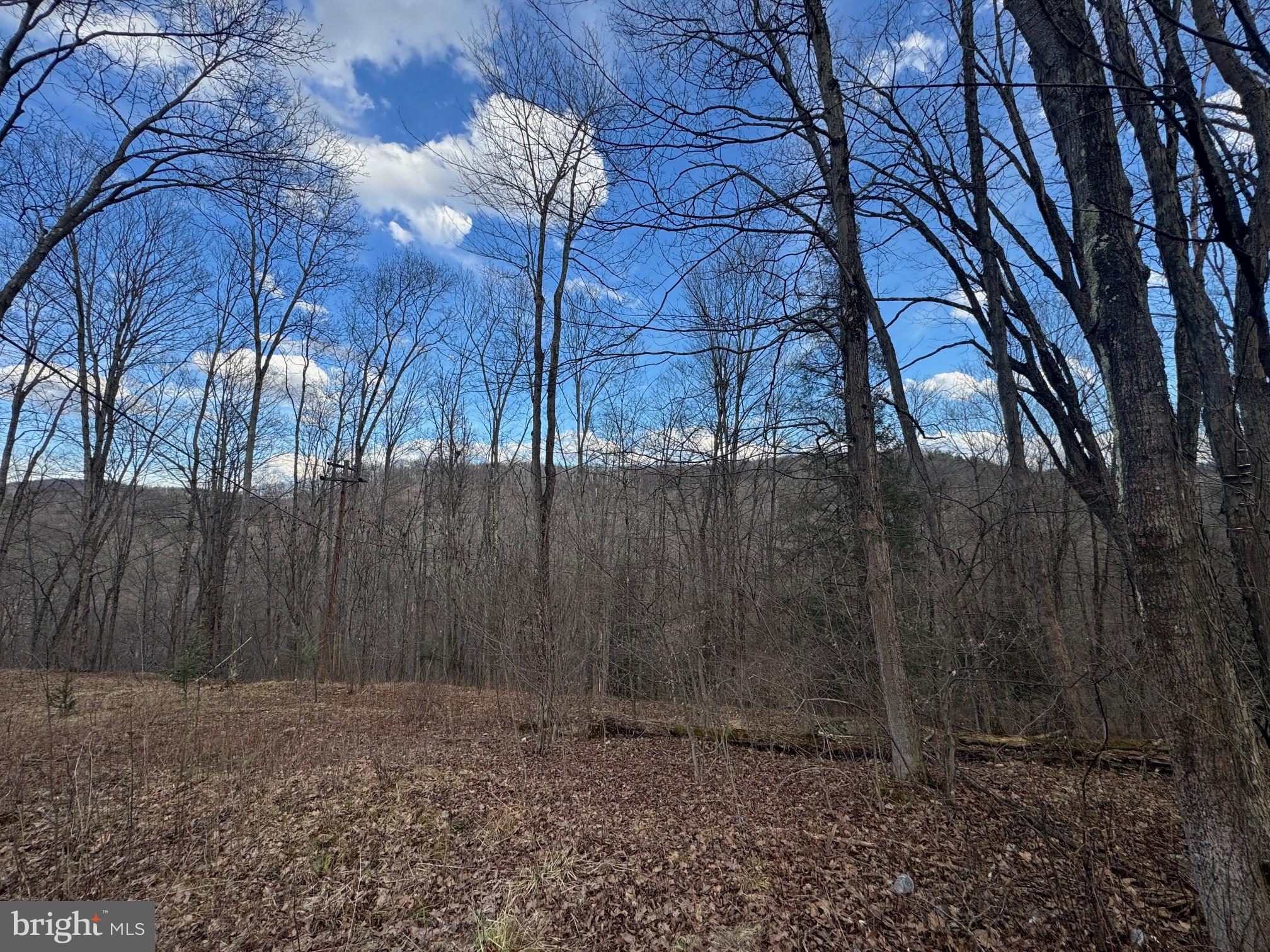 Jennings Road Grantsville, MD 21536 - Photo 2 of 39 a backyard of a house
