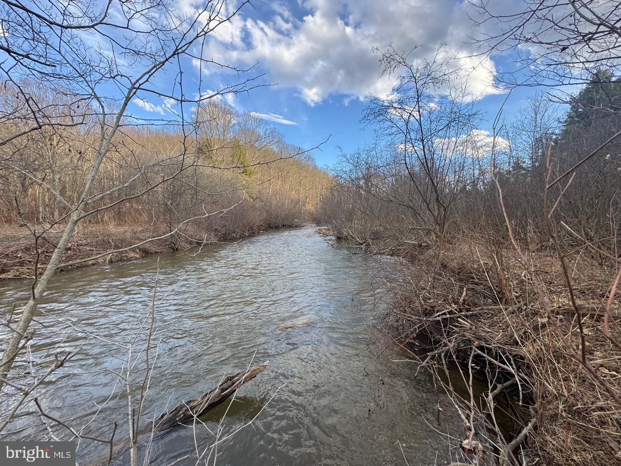 Jennings Road Grantsville, MD 21536 - Photo 21 of 39 a backyard of a house with lots of green space