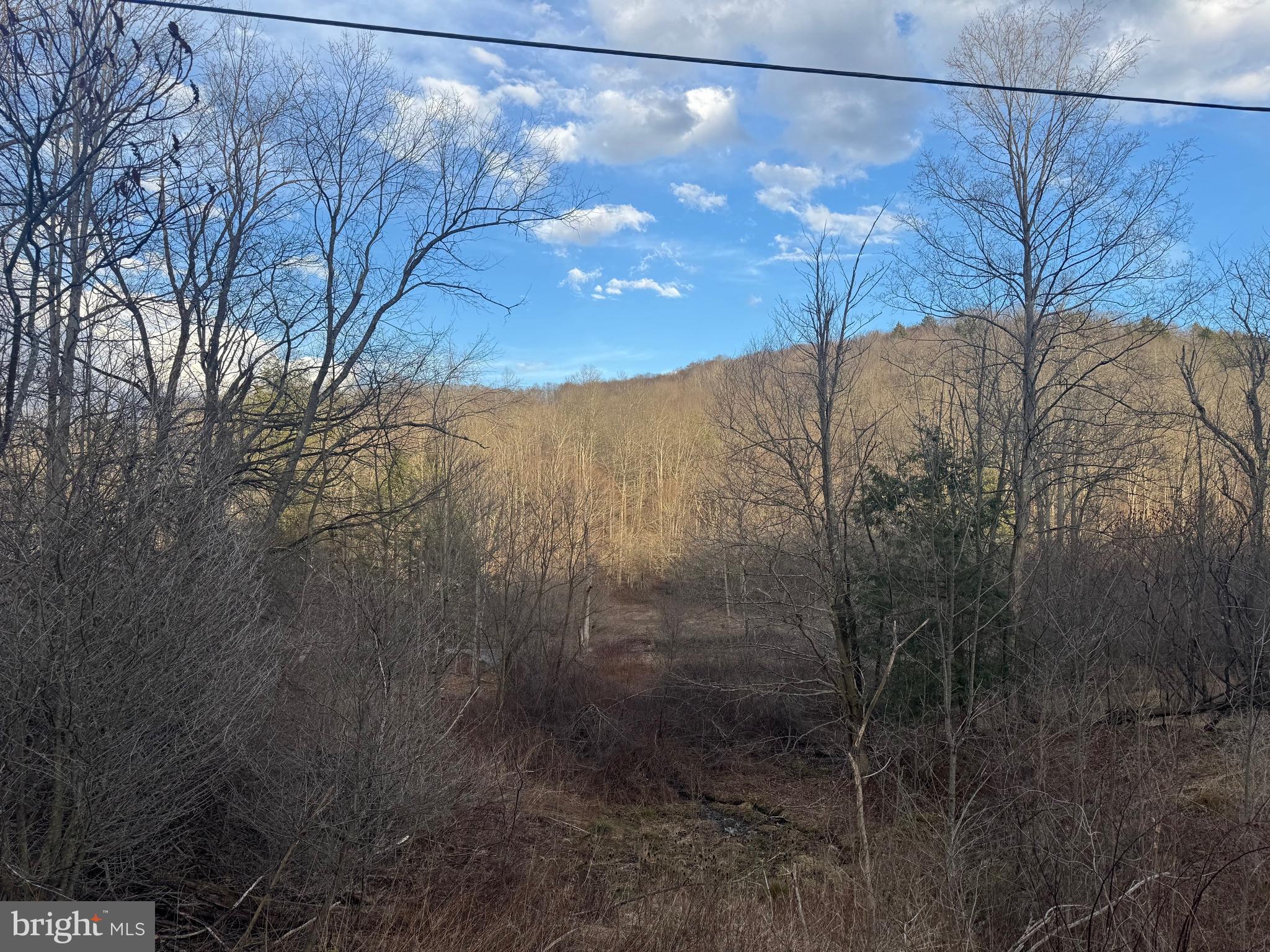 Jennings Road Grantsville, MD 21536 - Photo 22 of 39 a view of a forest