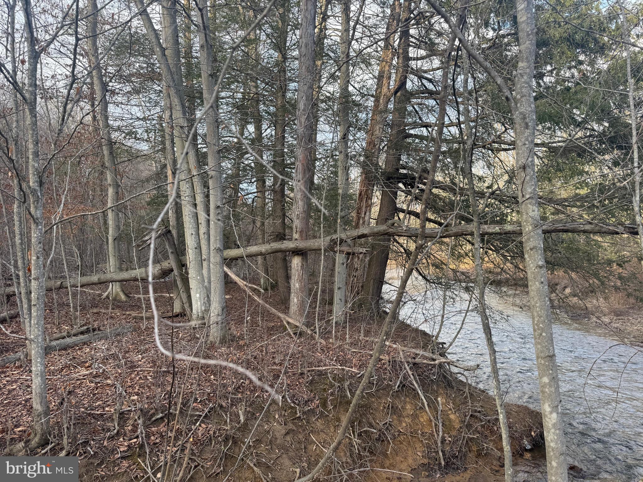 Jennings Road Grantsville, MD 21536 - Photo 23 of 39 a backyard of a house with lots of green space
