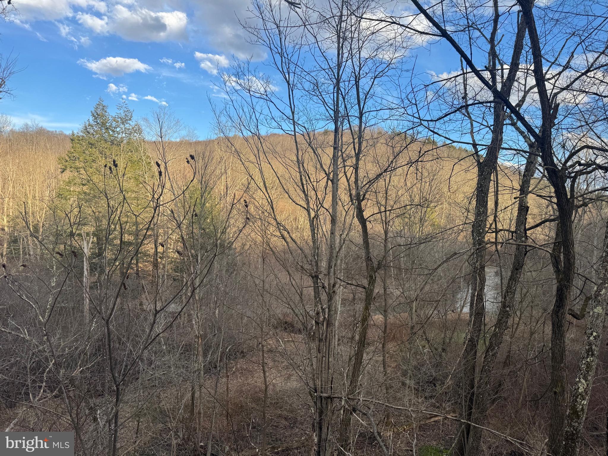 Jennings Road Grantsville, MD 21536 - Photo 24 of 39 a view of yard covered with snow
